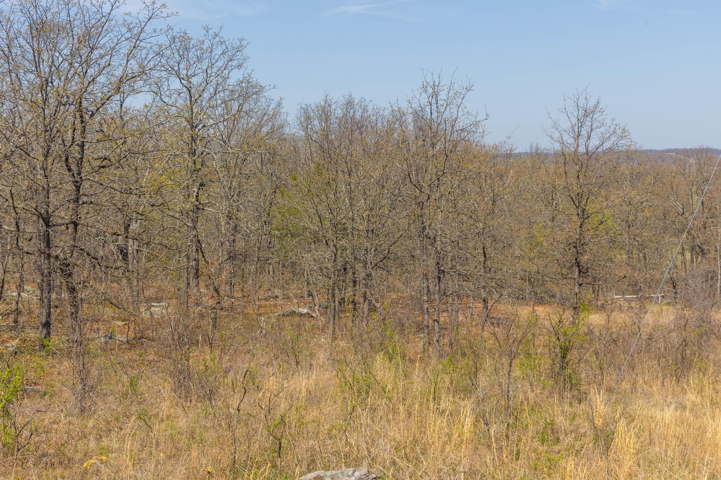 JLH Estates — Zero Credit Land owner financed land for sale in Okfuskee County, Oklahoma photo 67