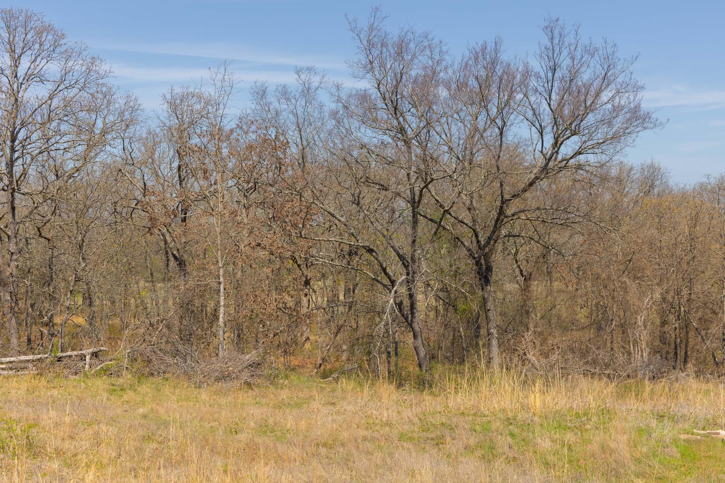 JLH Estates — Zero Credit Land owner financed land for sale in Okfuskee County, Oklahoma photo 60