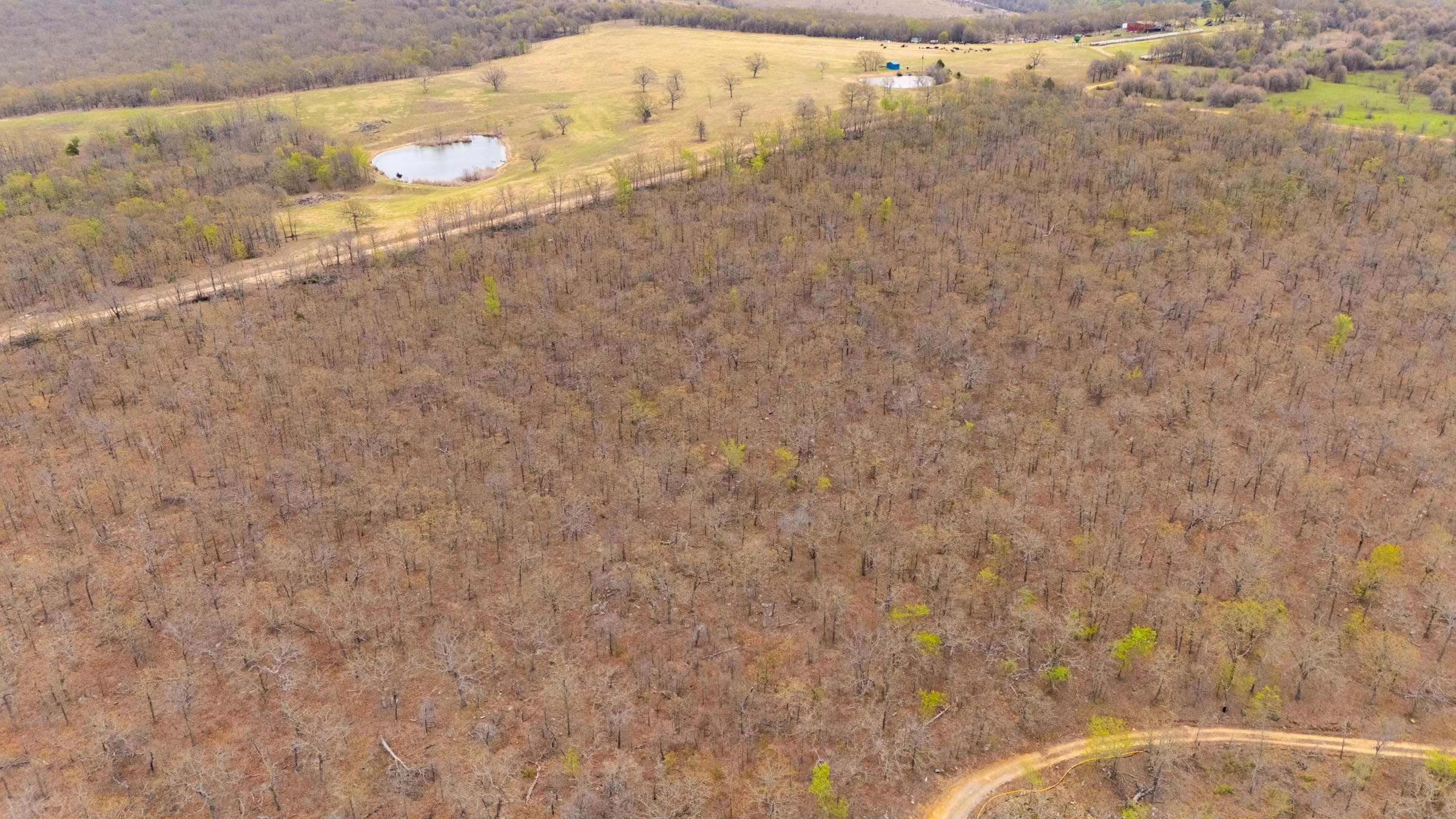 JLH Estates — Zero Credit Land owner financed land for sale in Okfuskee County, Oklahoma photo 51
