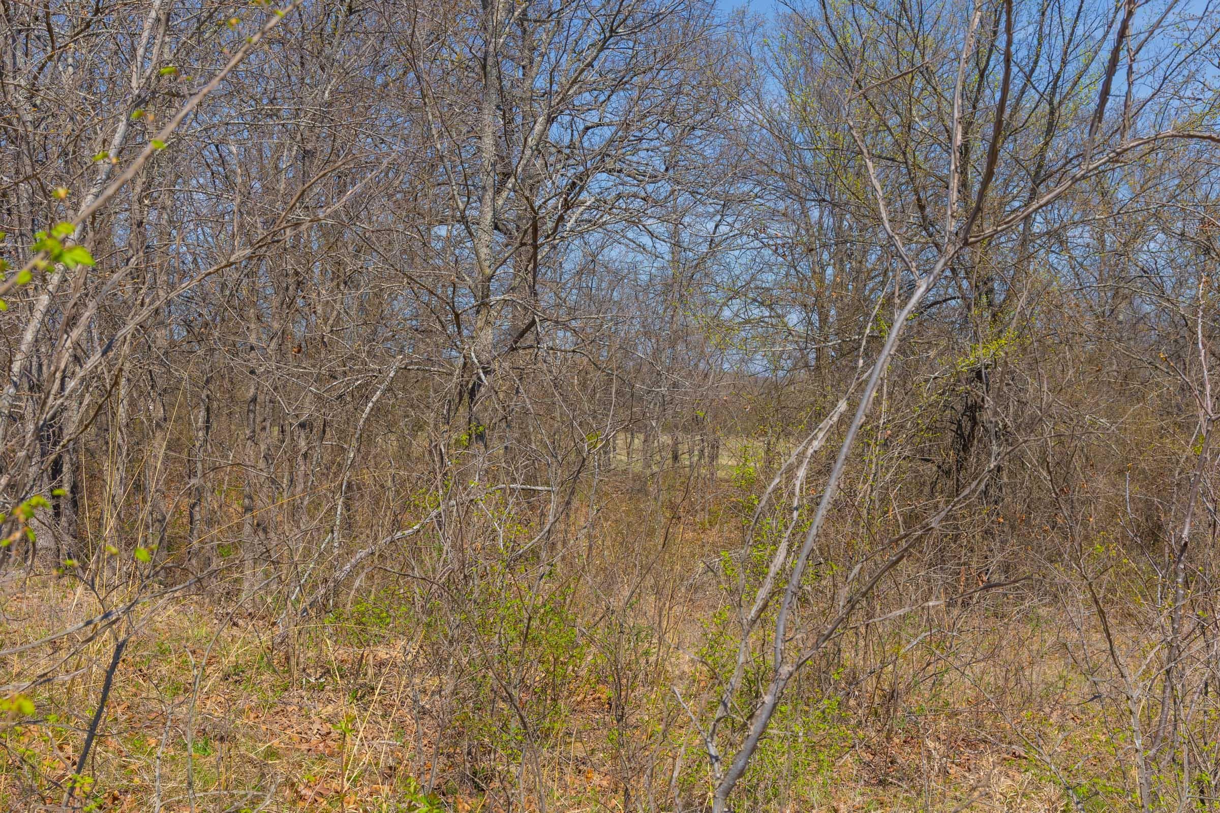 JLH Estates — Zero Credit Land owner financed land for sale in Okfuskee County, Oklahoma photo 53