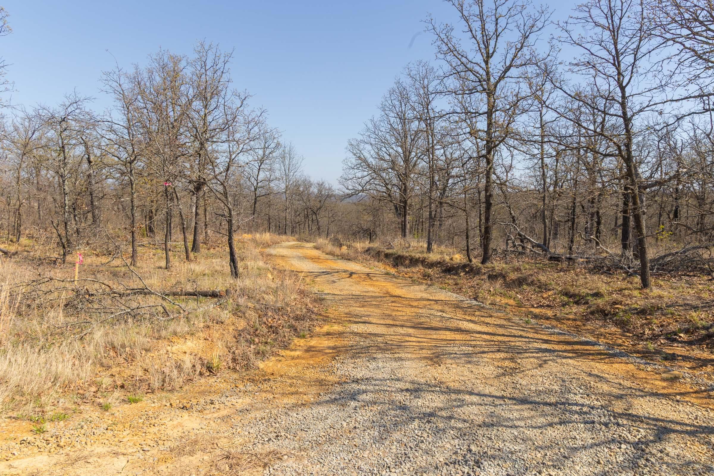 JLH Estates — Zero Credit Land owner financed land for sale in Okfuskee County, Oklahoma photo 47