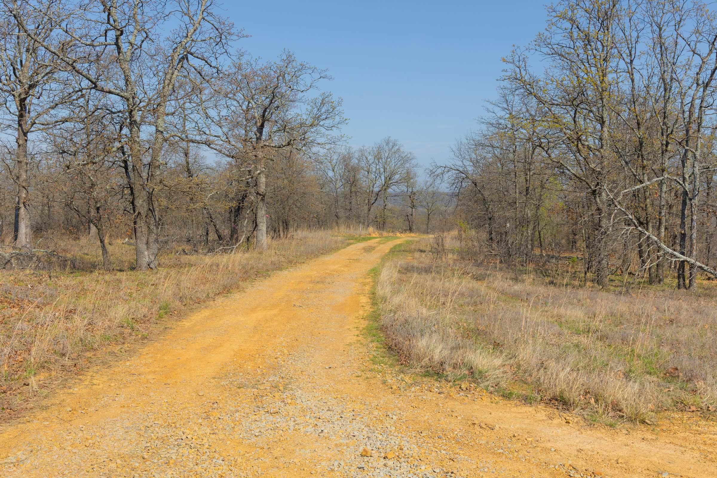JLH Estates — Zero Credit Land owner financed land for sale in Okfuskee County, Oklahoma photo 44