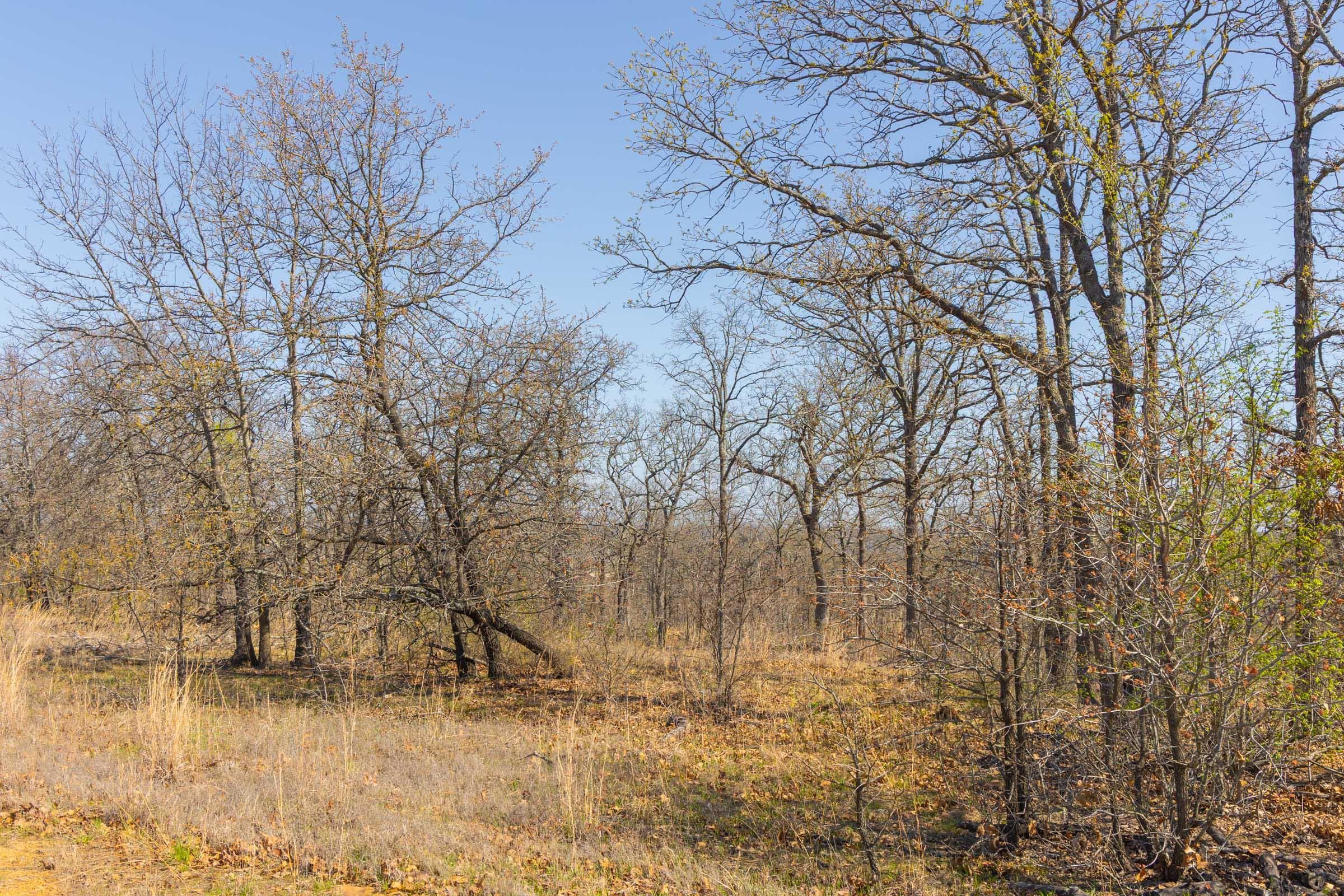 JLH Estates — Zero Credit Land owner financed land for sale in Okfuskee County, Oklahoma photo 48