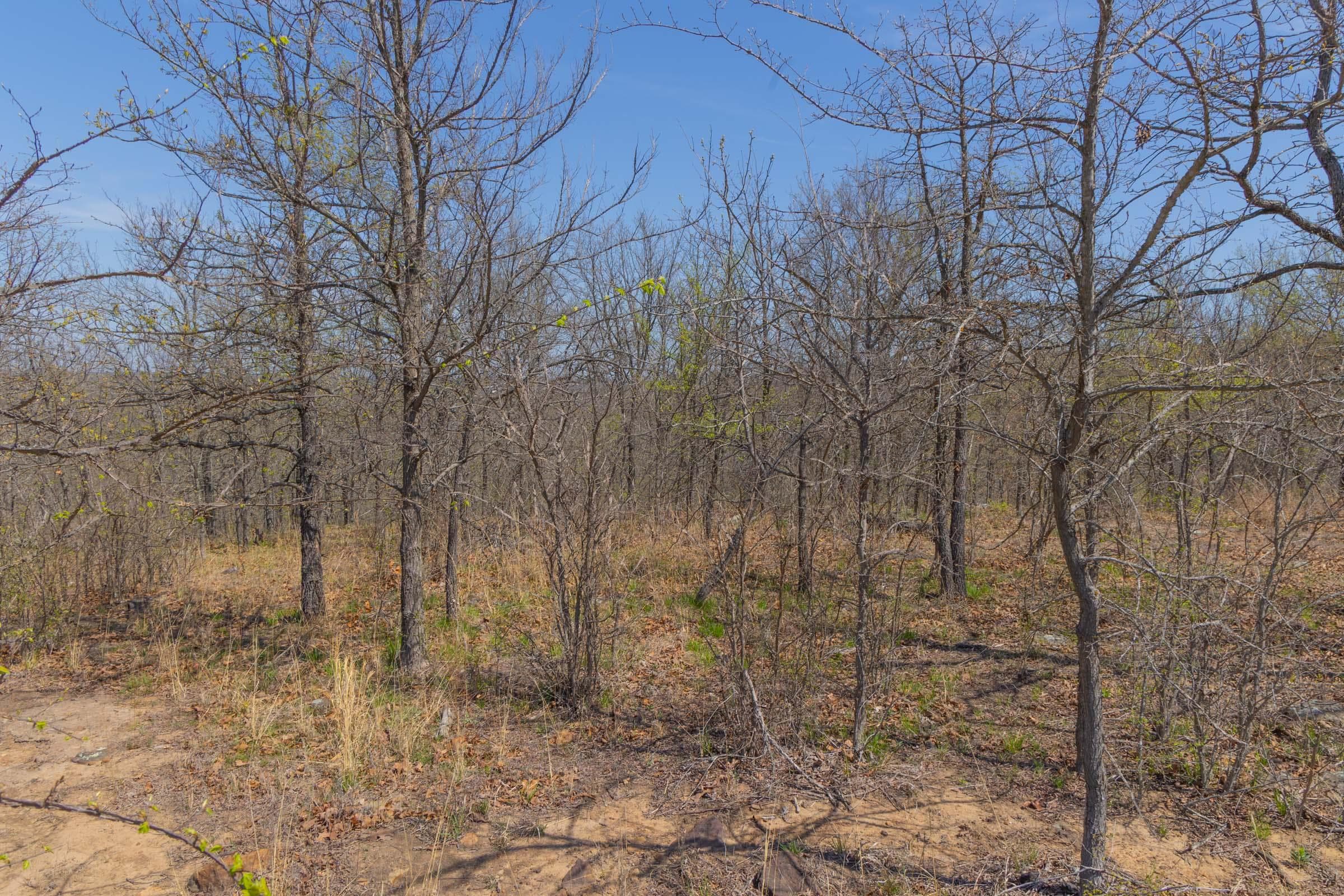 JLH Estates — Zero Credit Land owner financed land for sale in Okfuskee County, Oklahoma photo 43