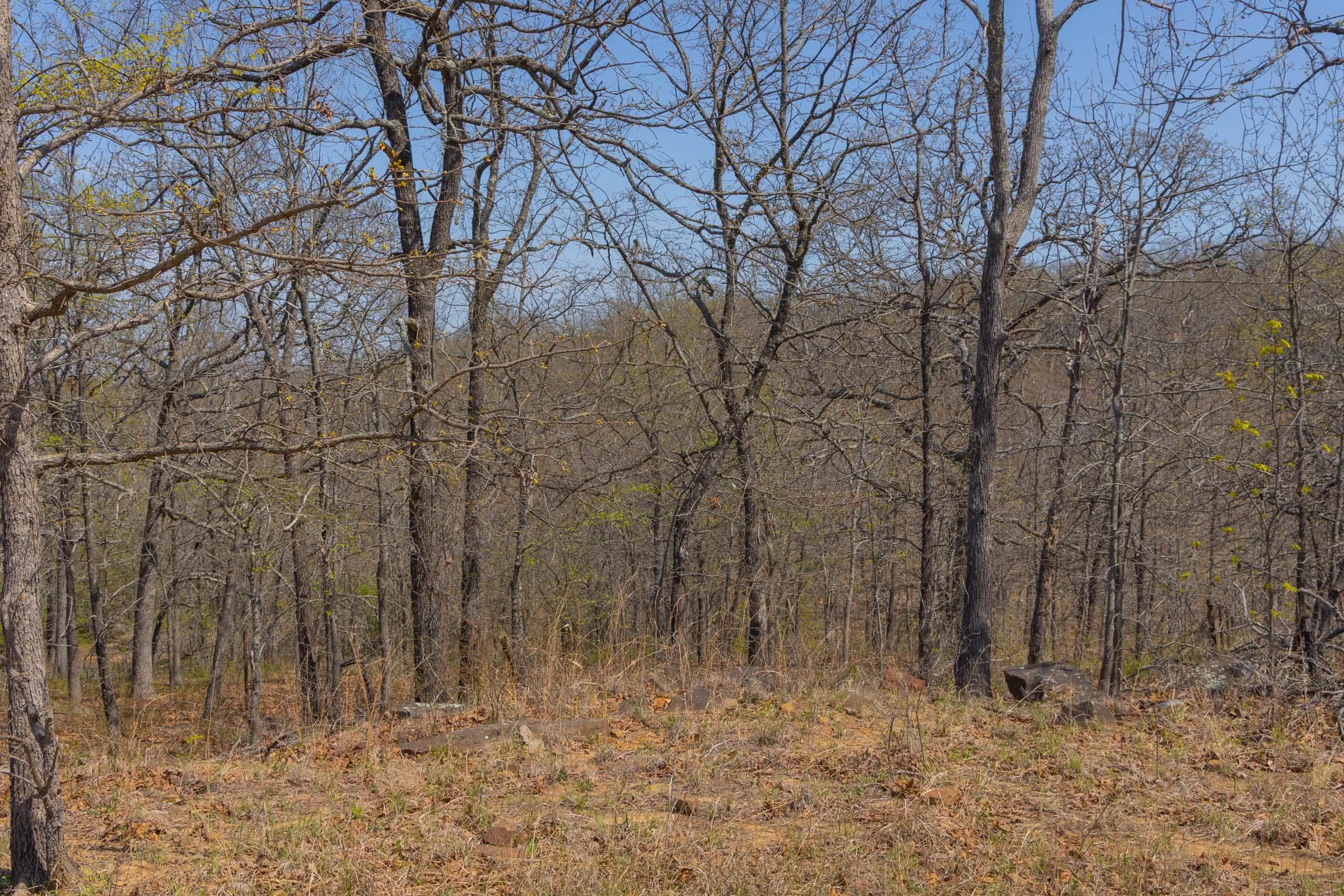 JLH Estates — Zero Credit Land owner financed land for sale in Okfuskee County, Oklahoma photo 42