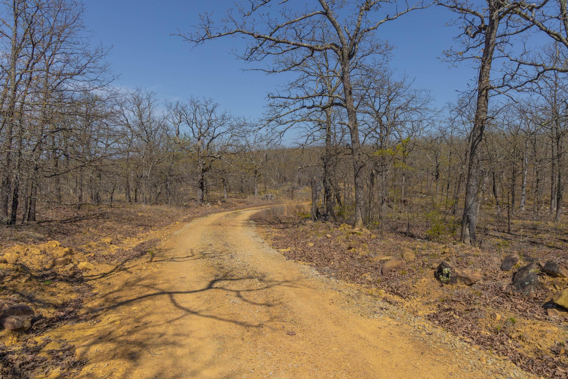 JLH Estates — Zero Credit Land owner financed land for sale in Okfuskee County, Oklahoma photo 33
