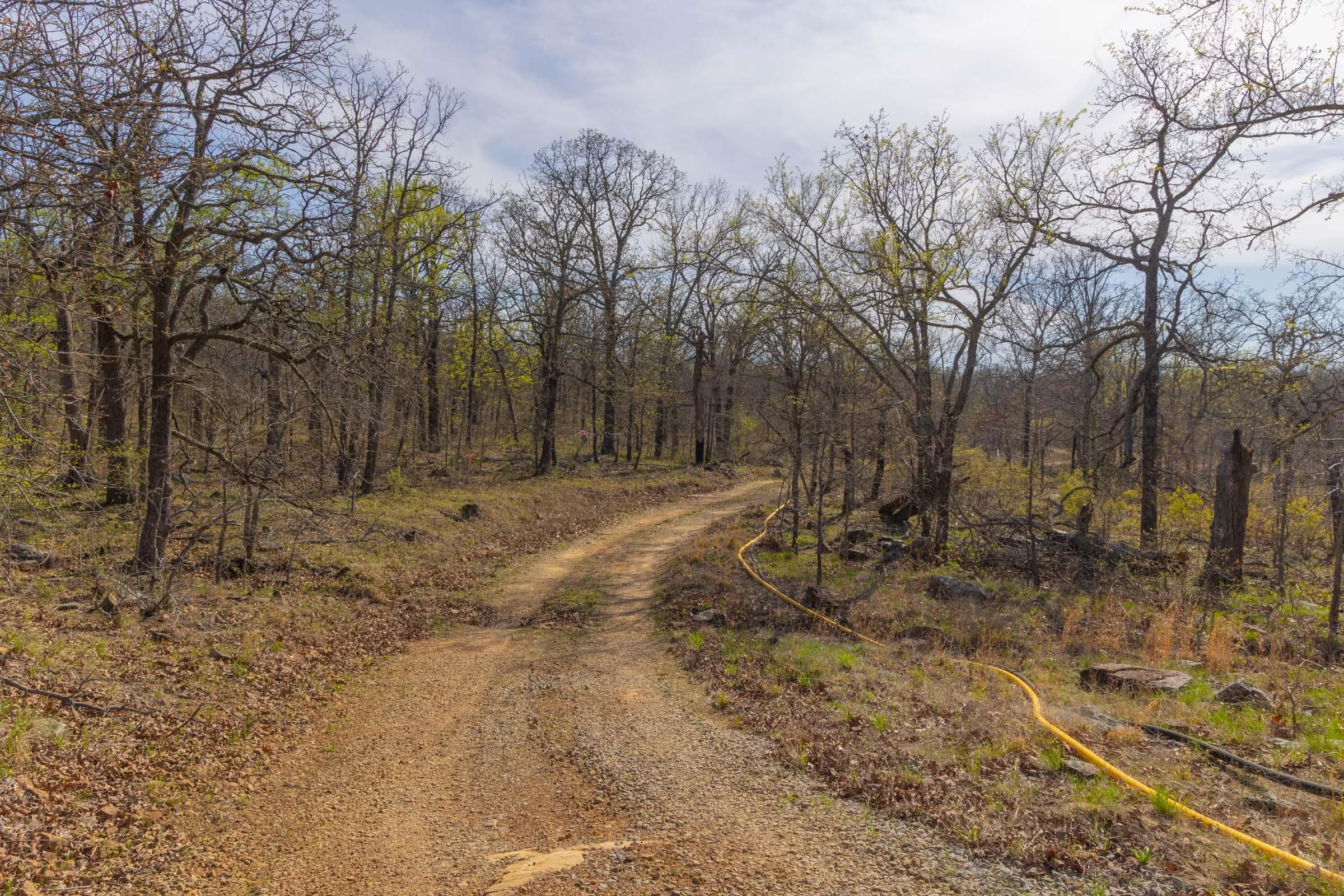 JLH Estates — Zero Credit Land owner financed land for sale in Okfuskee County, Oklahoma photo 22