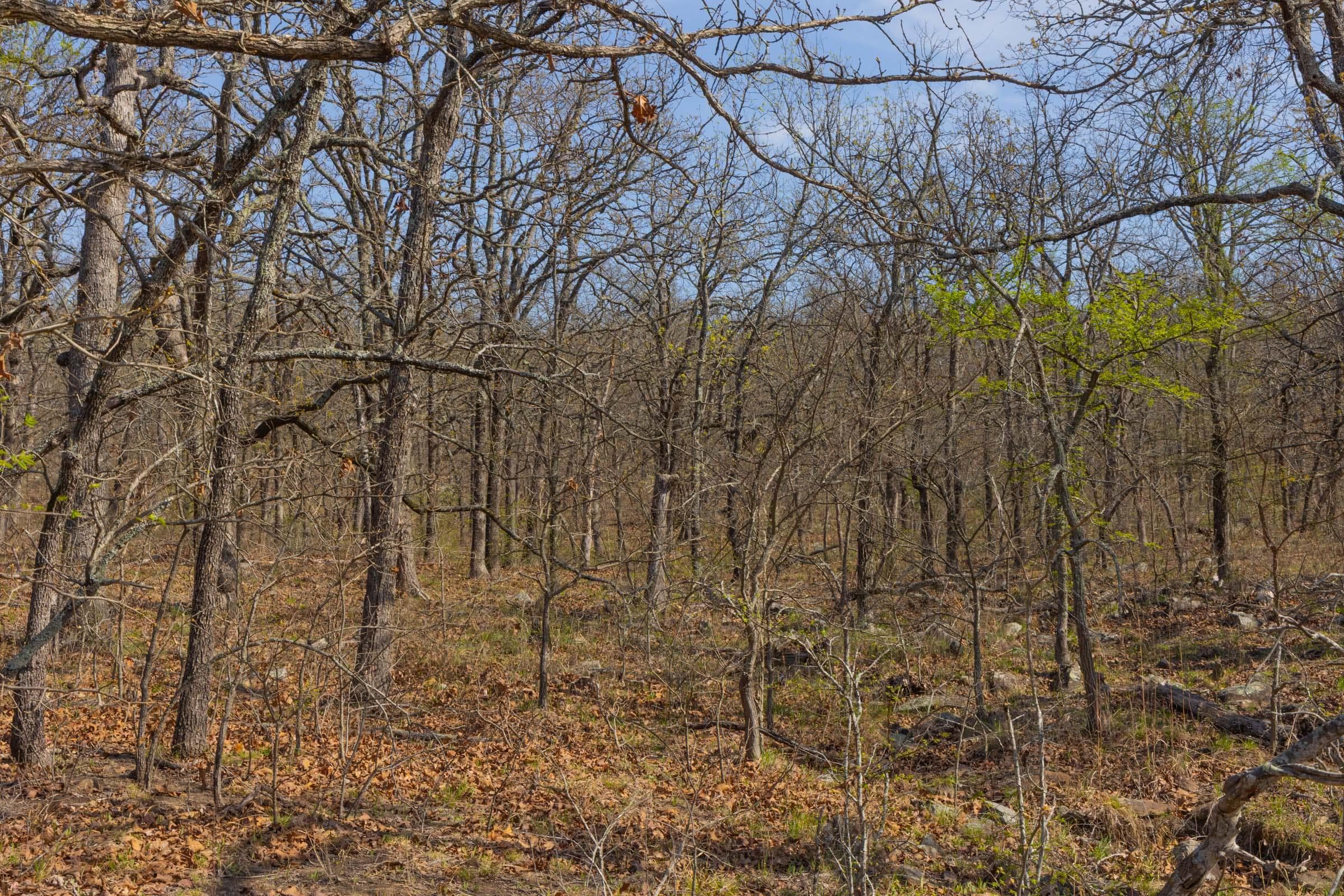 JLH Estates — Zero Credit Land owner financed land for sale in Okfuskee County, Oklahoma photo 18