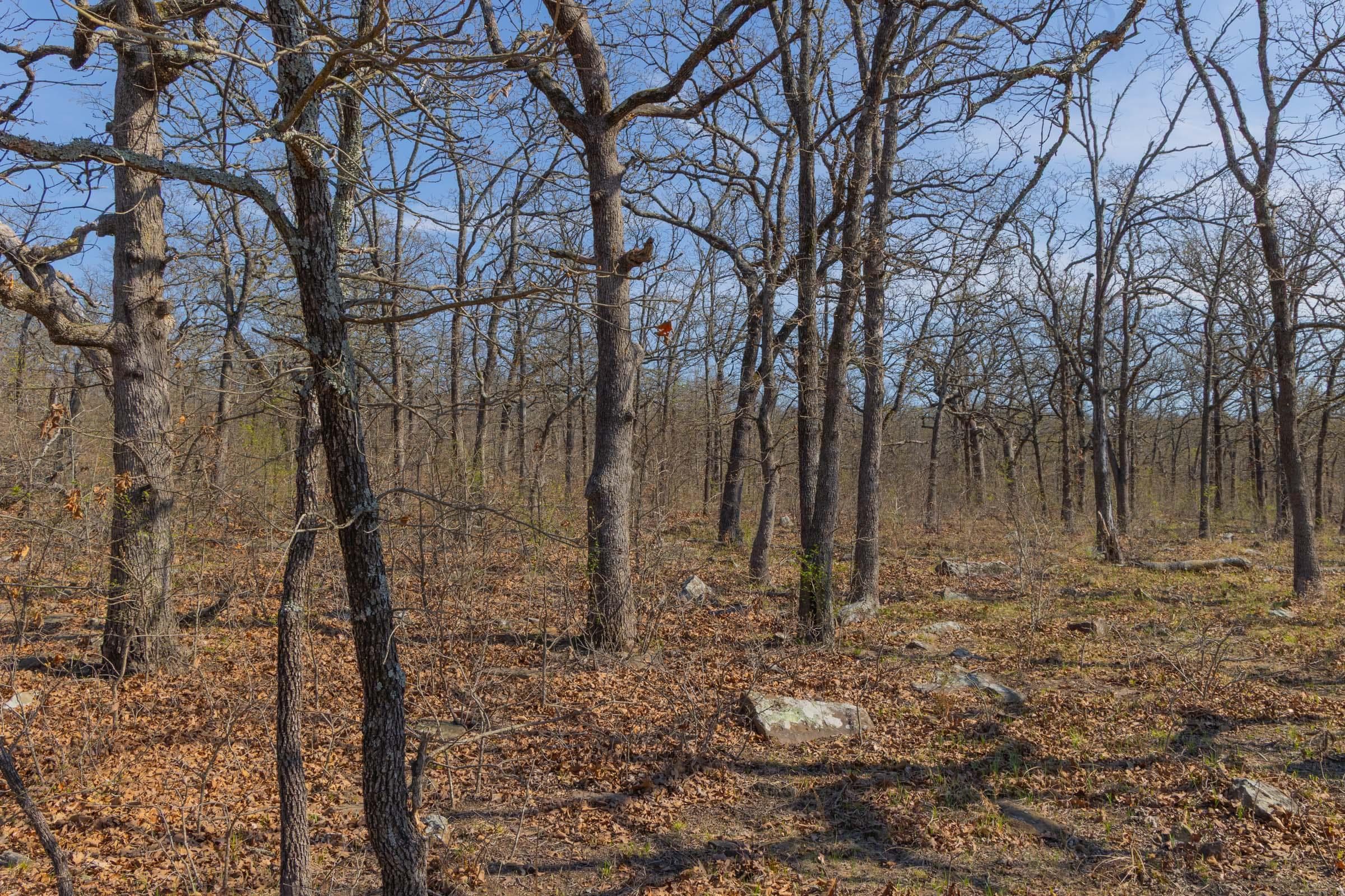 JLH Estates — Zero Credit Land owner financed land for sale in Okfuskee County, Oklahoma photo 14