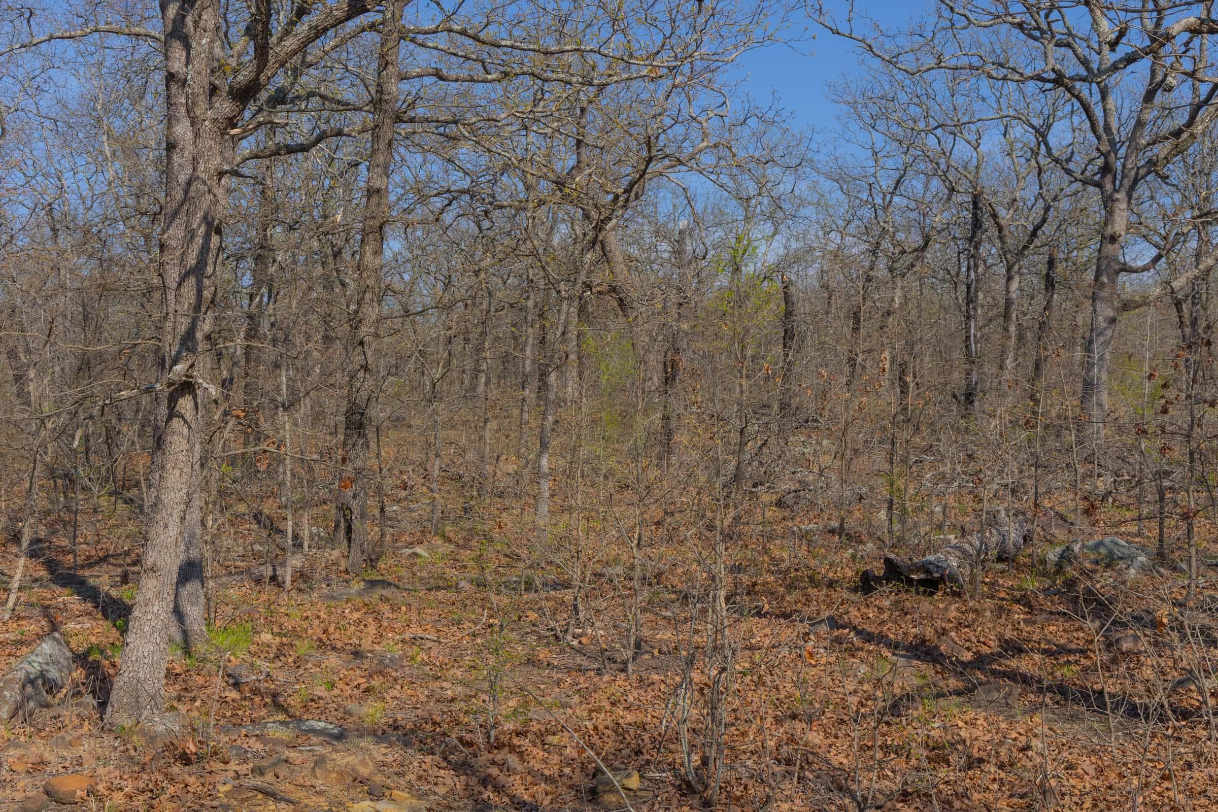 JLH Estates — Zero Credit Land owner financed land for sale in Okfuskee County, Oklahoma photo 13