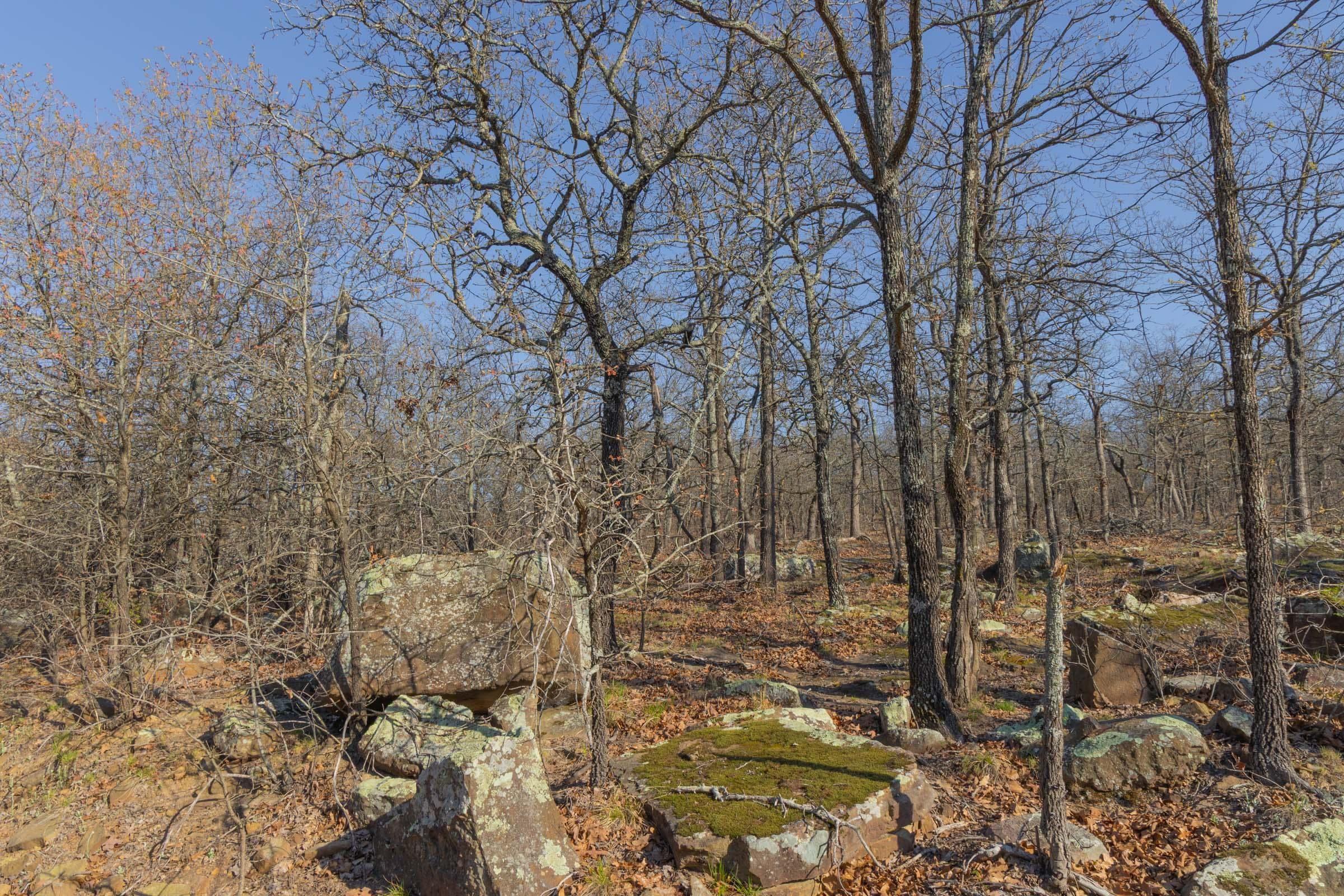 JLH Estates — Zero Credit Land owner financed land for sale in Okfuskee County, Oklahoma photo 11