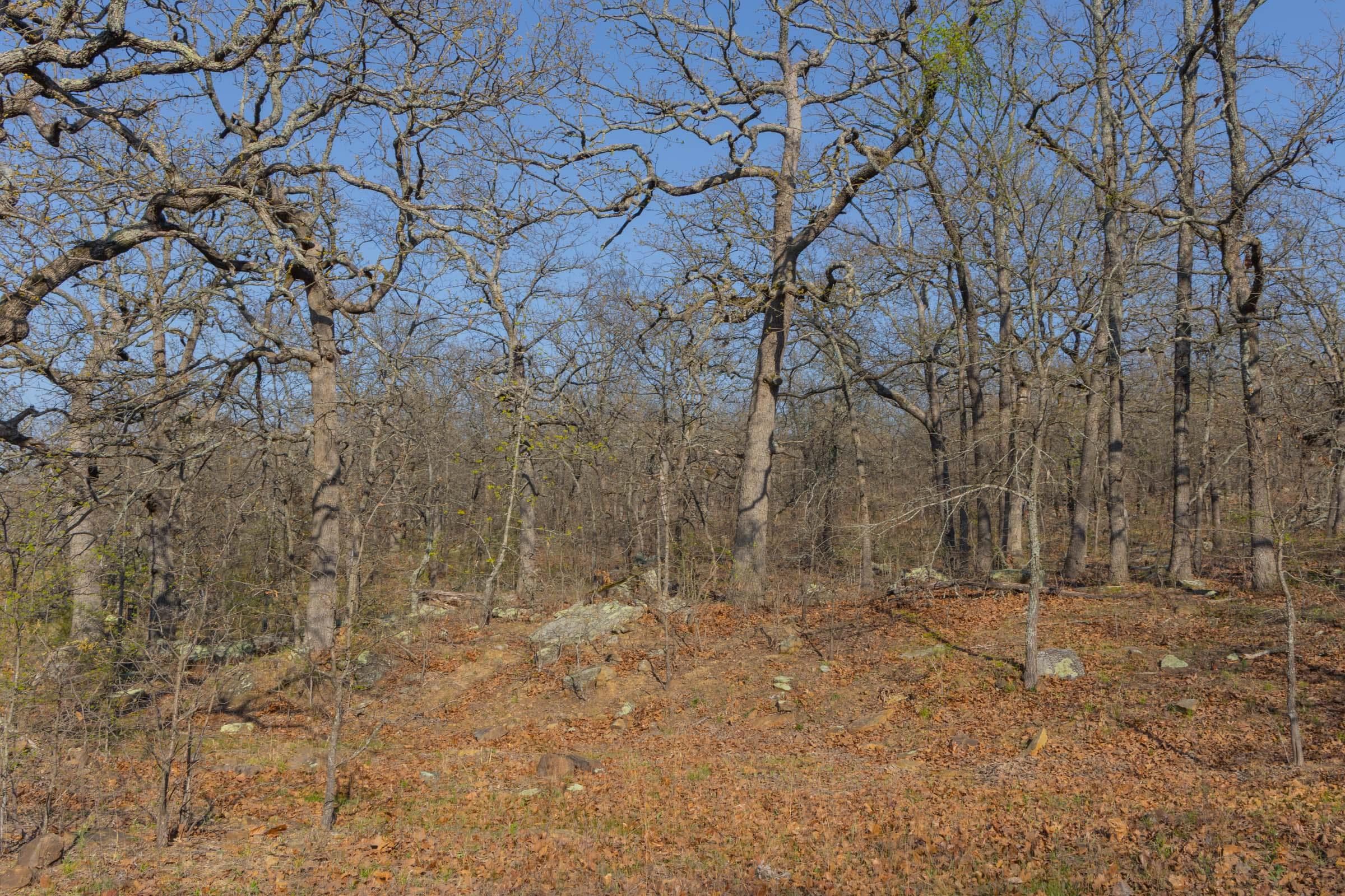 JLH Estates — Zero Credit Land owner financed land for sale in Okfuskee County, Oklahoma photo 9