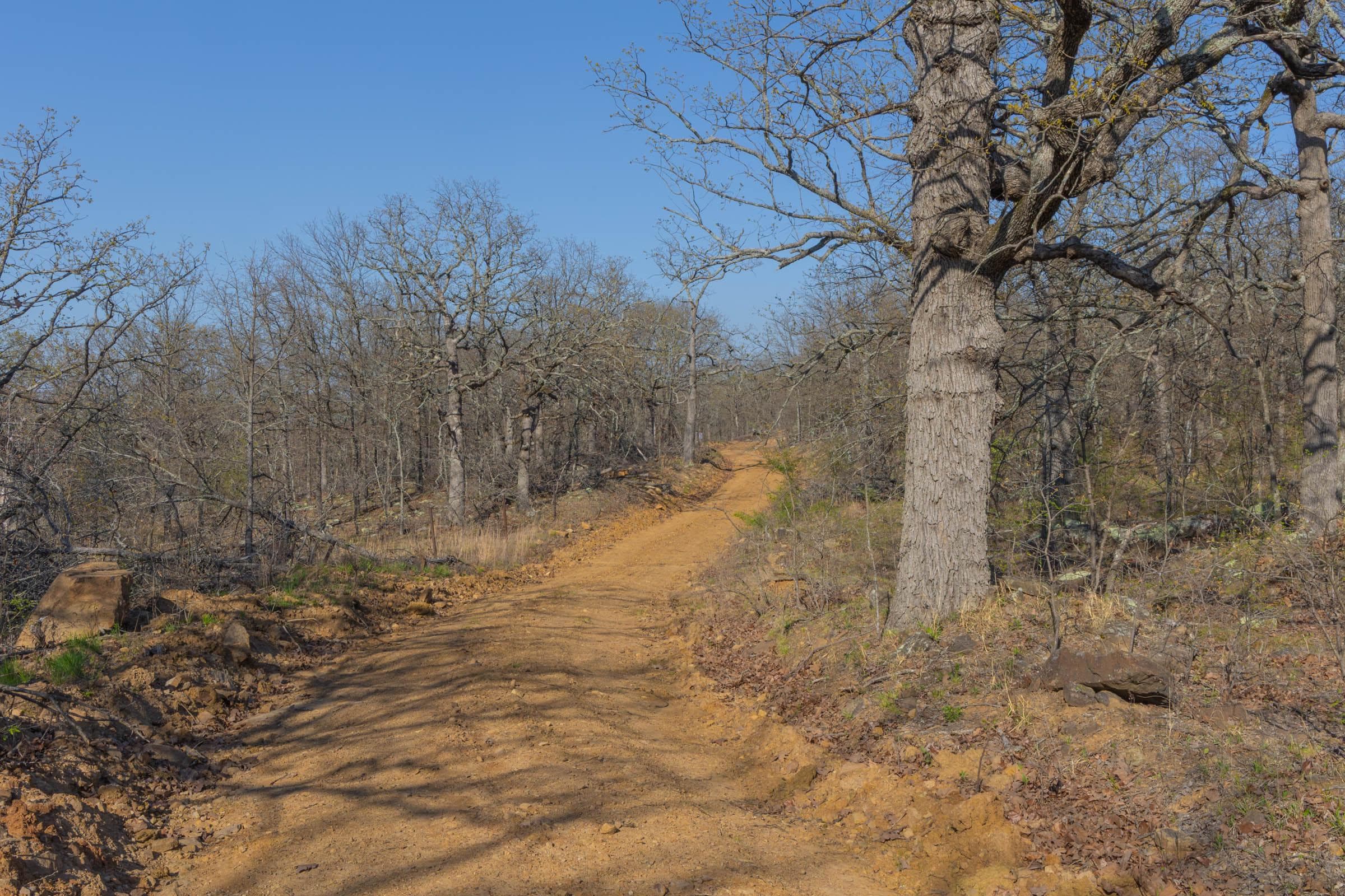 JLH Estates — Zero Credit Land owner financed land for sale in Okfuskee County, Oklahoma photo 12