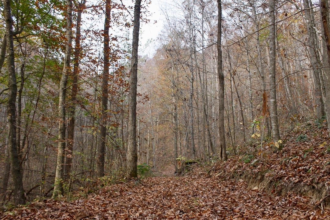 Autumn Ridge — Zero Credit Land owner financed land for sale in Leslie County, Kentucky photo 54