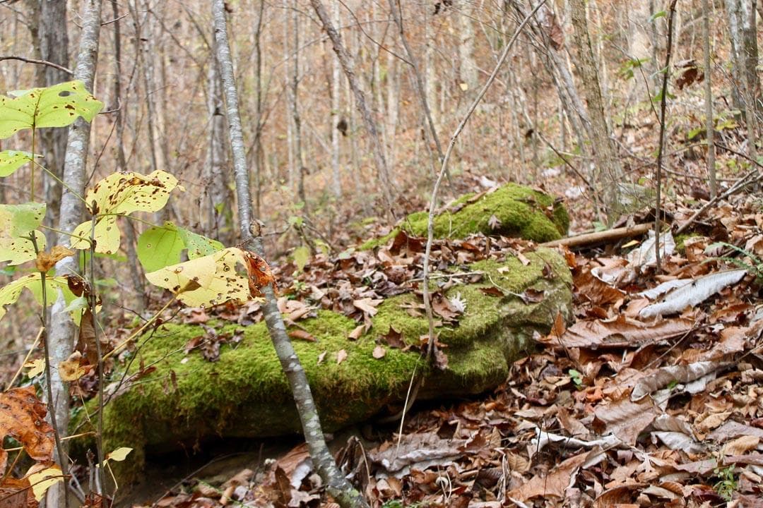 Autumn Ridge — Zero Credit Land owner financed land for sale in Leslie County, Kentucky photo 53
