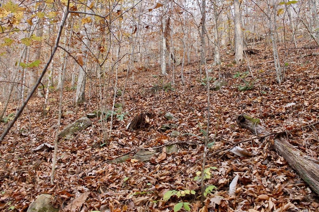 Autumn Ridge — Zero Credit Land owner financed land for sale in Leslie County, Kentucky photo 55