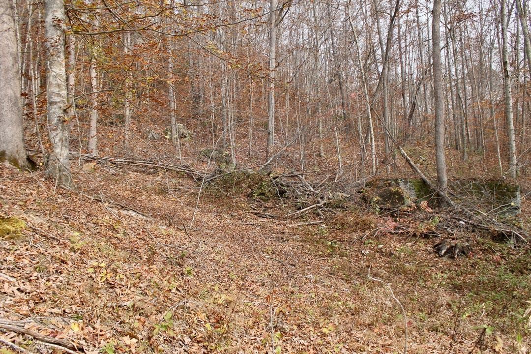 Autumn Ridge — Zero Credit Land owner financed land for sale in Leslie County, Kentucky photo 44