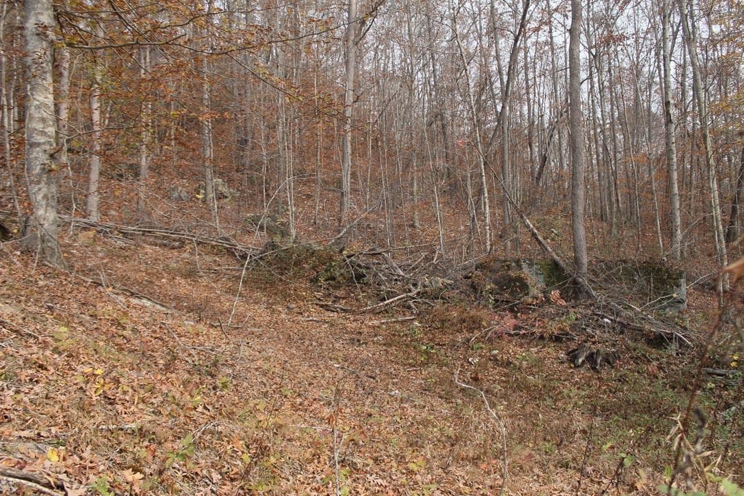 Autumn Ridge — Zero Credit Land owner financed land for sale in Leslie County, Kentucky photo 49