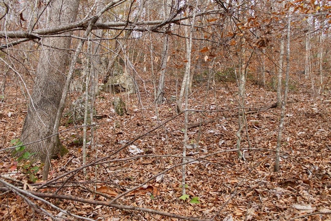 Autumn Ridge — Zero Credit Land owner financed land for sale in Leslie County, Kentucky photo 51