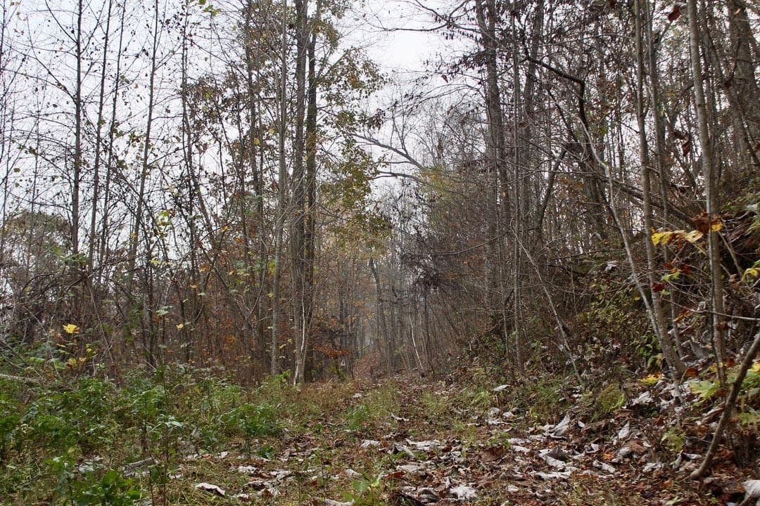 Autumn Ridge — Zero Credit Land owner financed land for sale in Leslie County, Kentucky photo 40