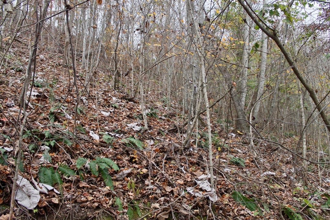 Autumn Ridge — Zero Credit Land owner financed land for sale in Leslie County, Kentucky photo 43