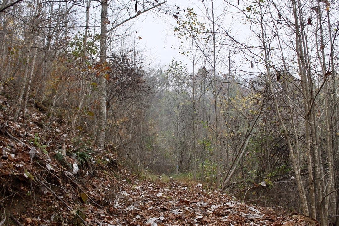 Autumn Ridge — Zero Credit Land owner financed land for sale in Leslie County, Kentucky photo 34
