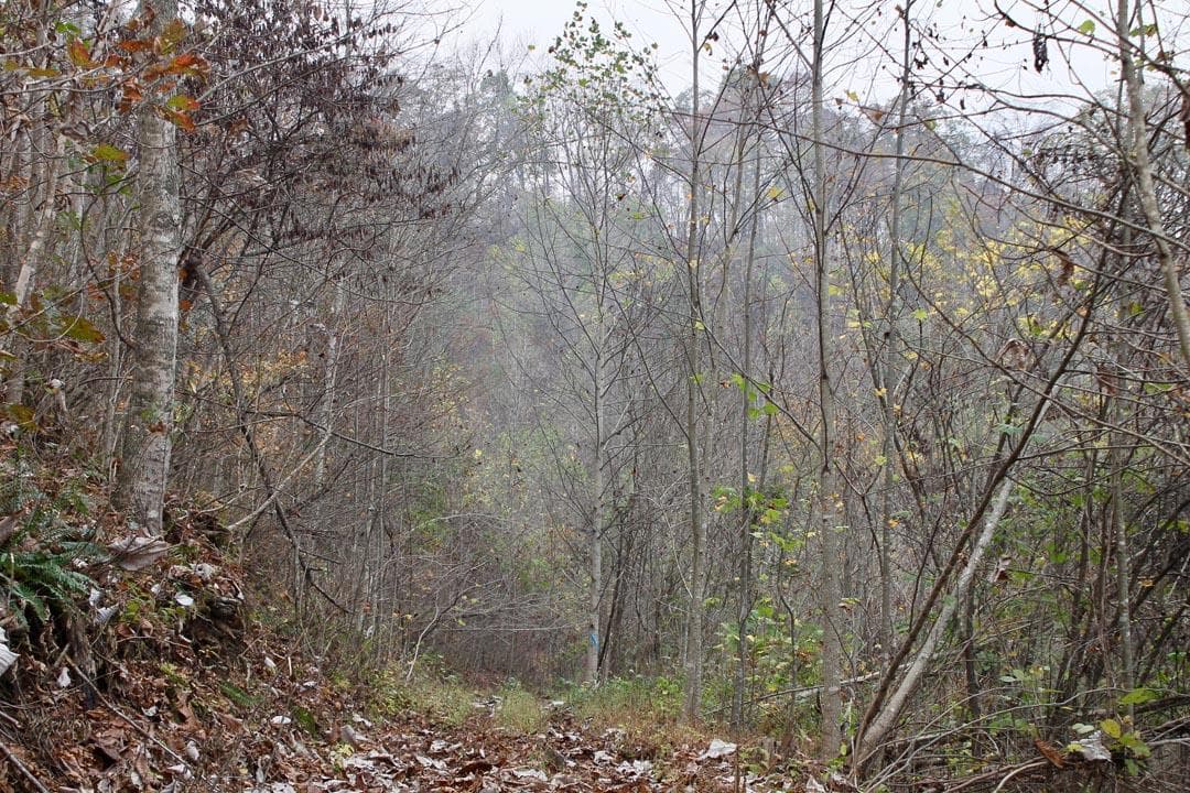 Autumn Ridge — Zero Credit Land owner financed land for sale in Leslie County, Kentucky photo 31
