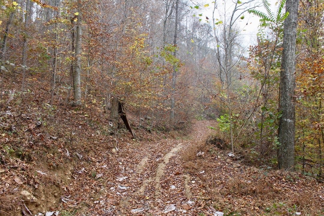 Autumn Ridge — Zero Credit Land owner financed land for sale in Leslie County, Kentucky photo 28