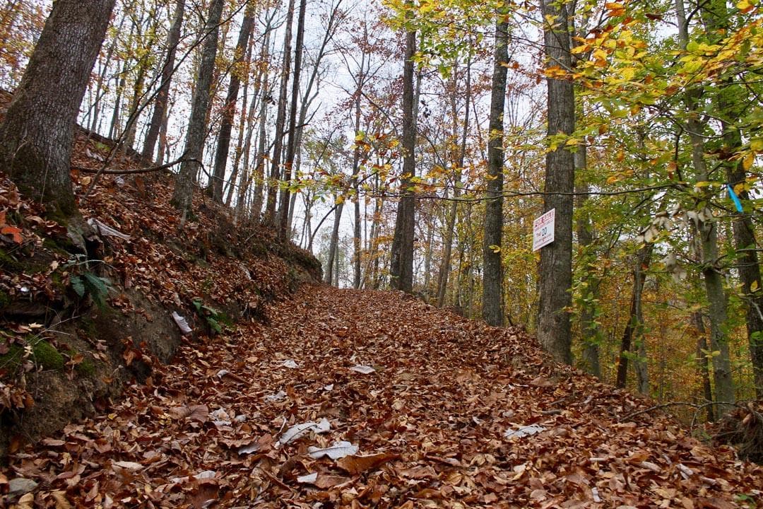Autumn Ridge — Zero Credit Land owner financed land for sale in Leslie County, Kentucky photo 26
