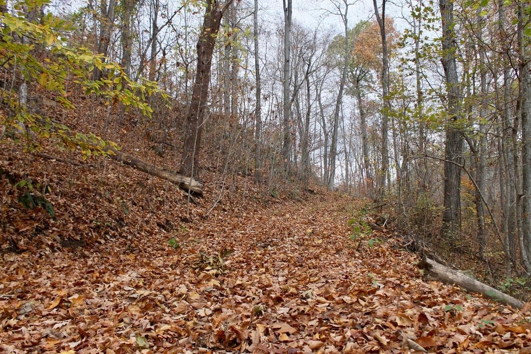 Autumn Ridge — Zero Credit Land owner financed land for sale in Leslie County, Kentucky photo 19