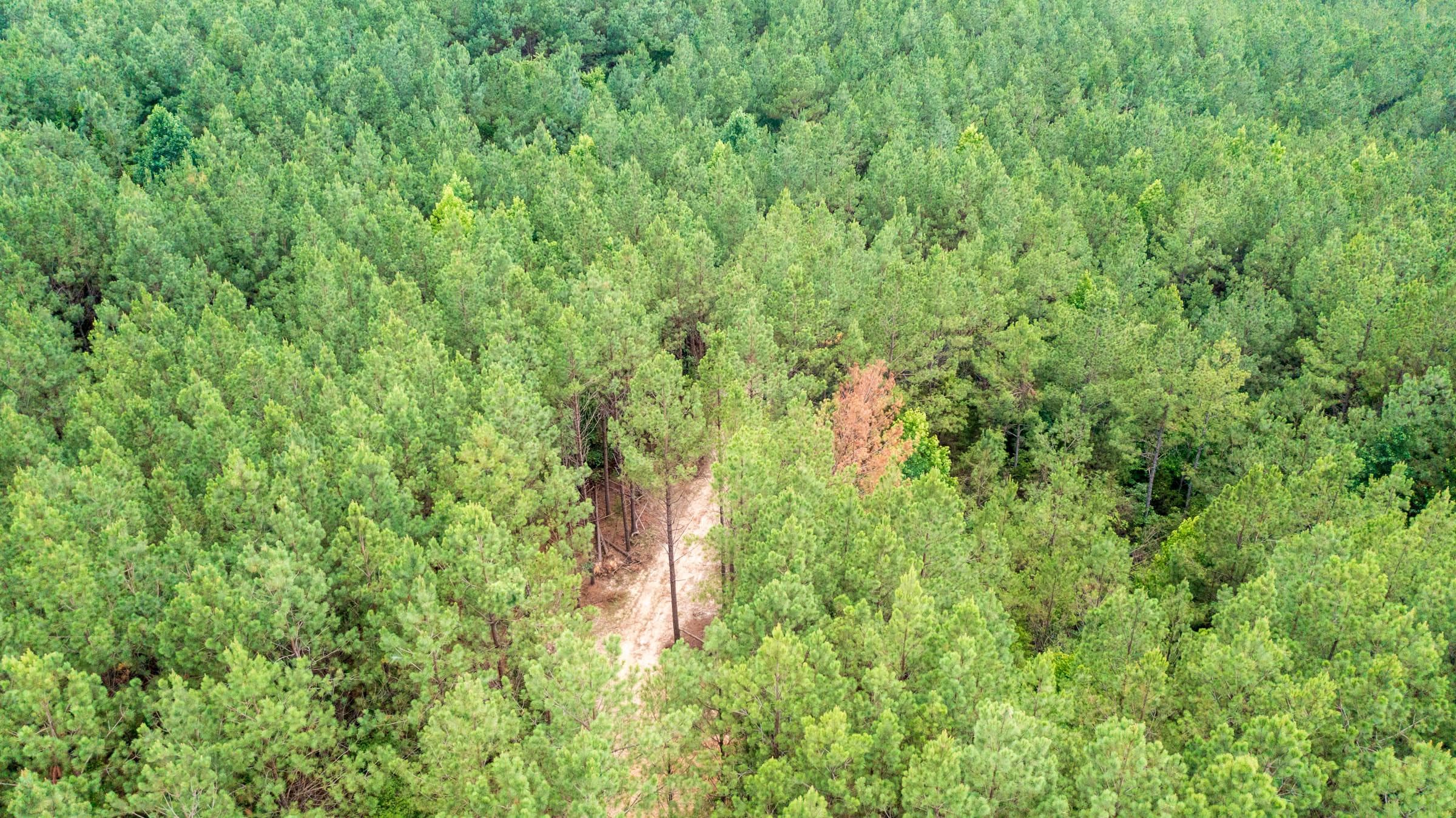 Whiskey Ridge — Zero Credit Land owner financed land for sale in Henderson County, Tennessee photo 26