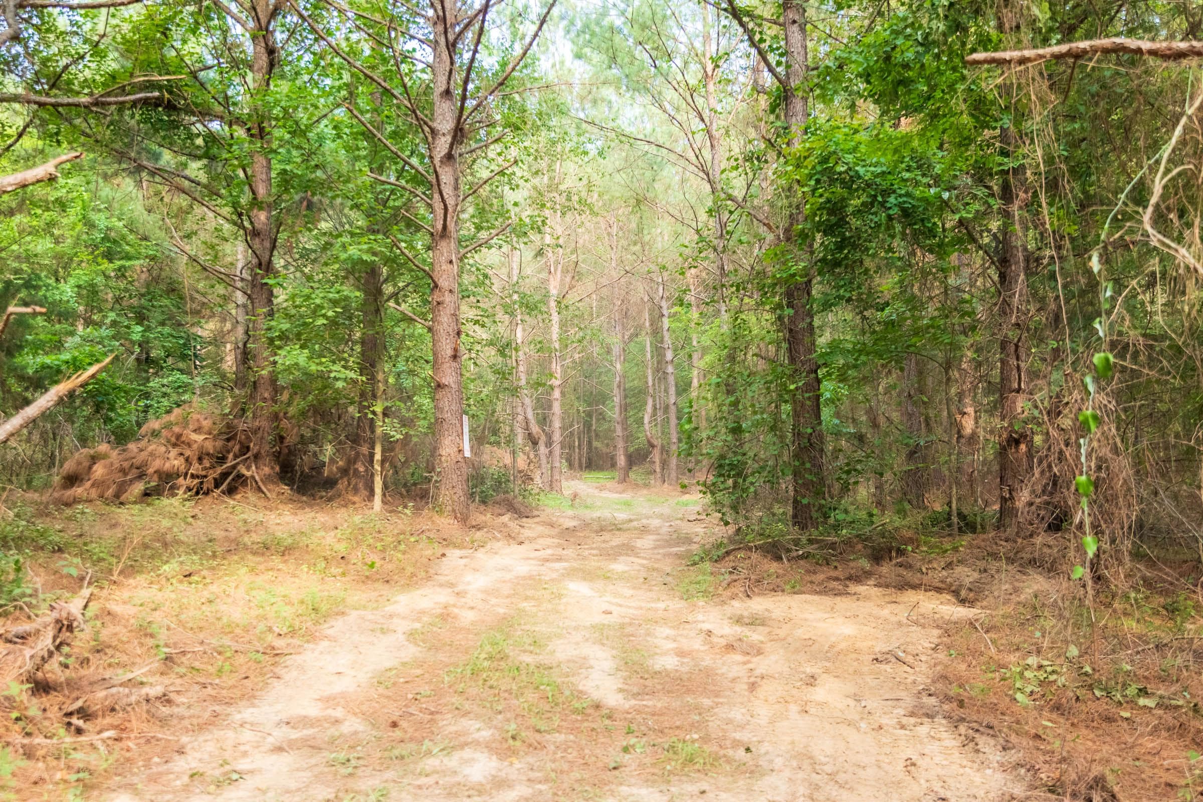 Whiskey Ridge — Zero Credit Land owner financed land for sale in Henderson County, Tennessee photo 23
