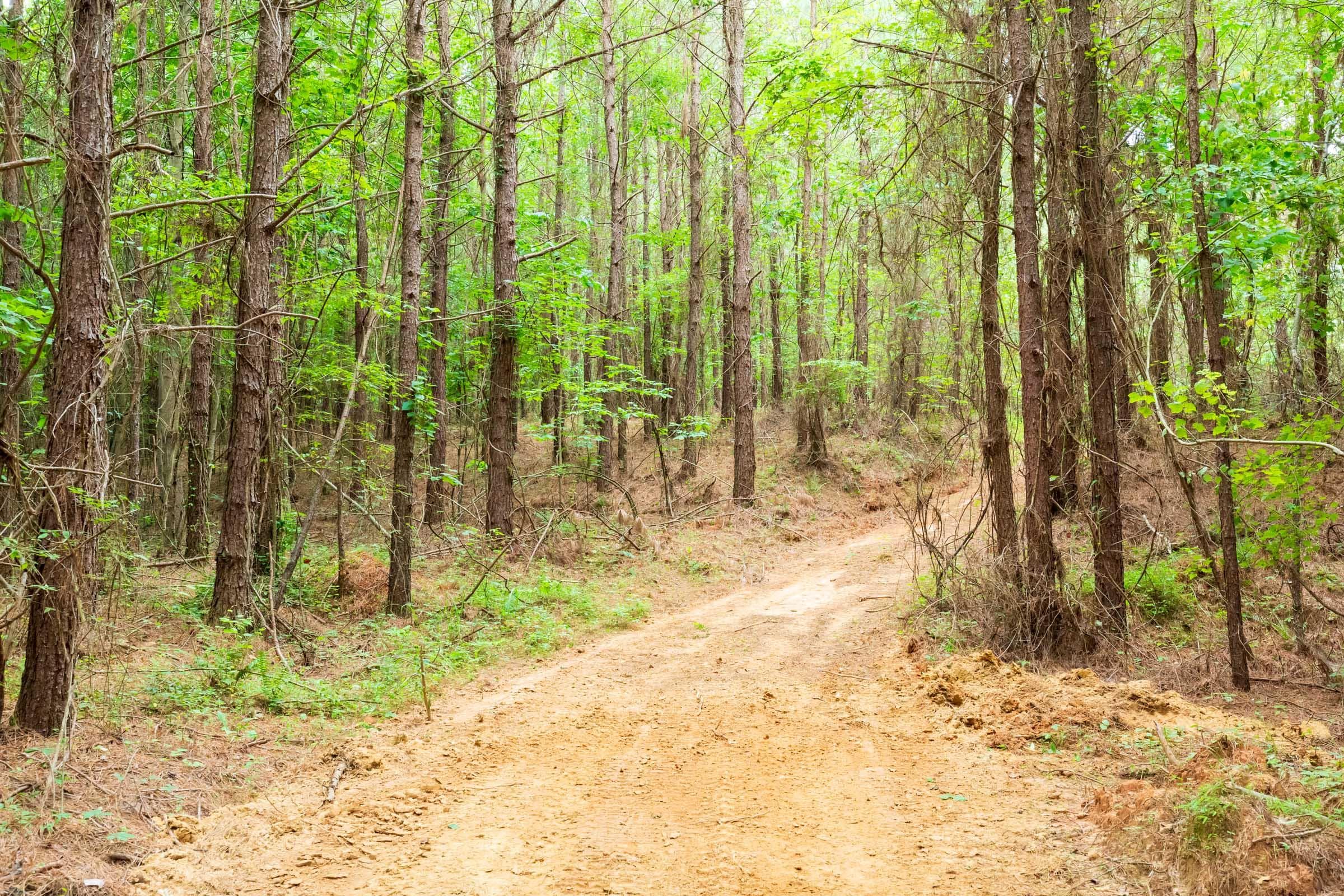 Whiskey Ridge — Zero Credit Land owner financed land for sale in Henderson County, Tennessee photo 20