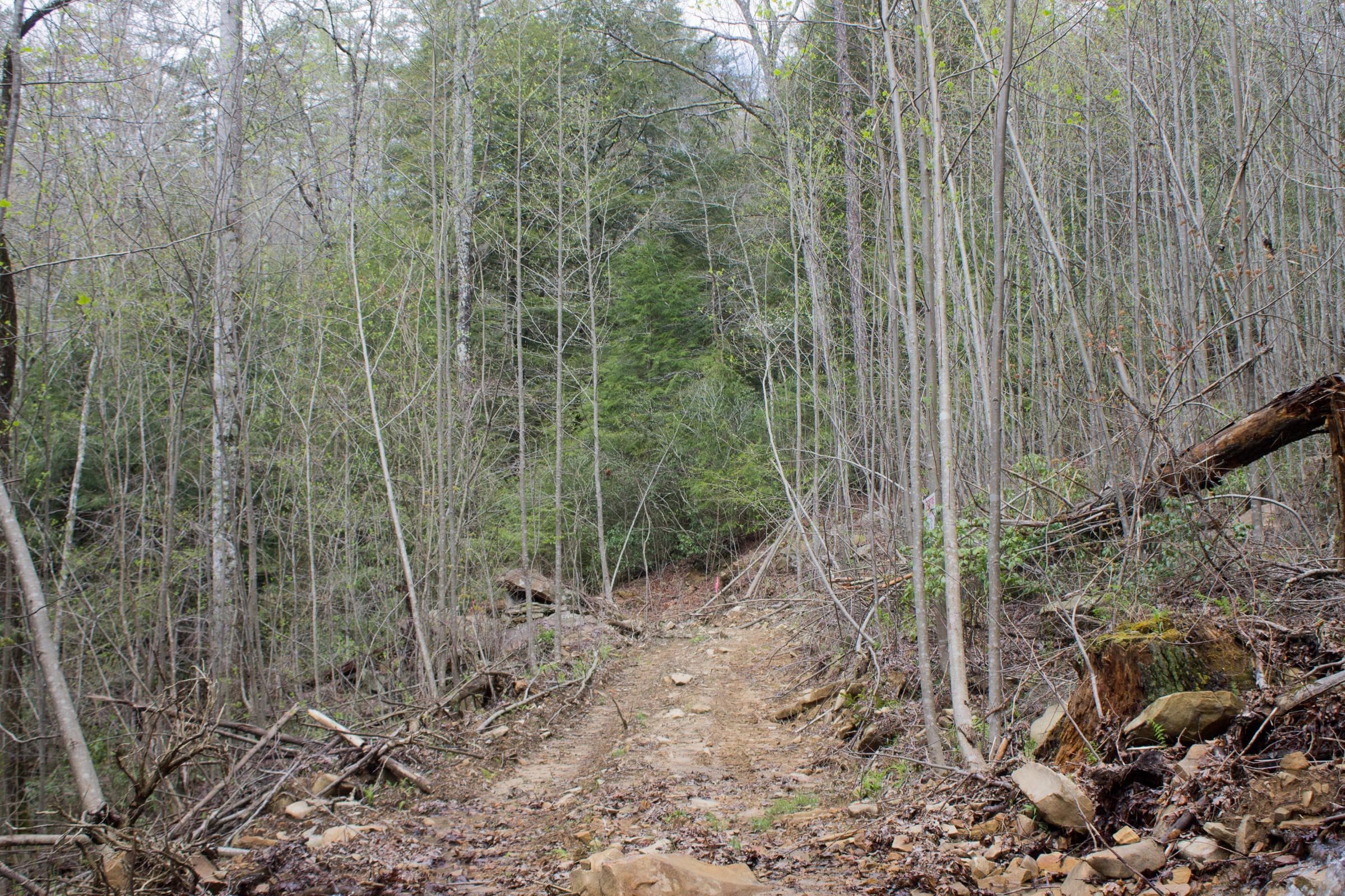Hidden Hills — Zero Credit Land owner financed land for sale in Sequatchie County, Tennessee photo 13