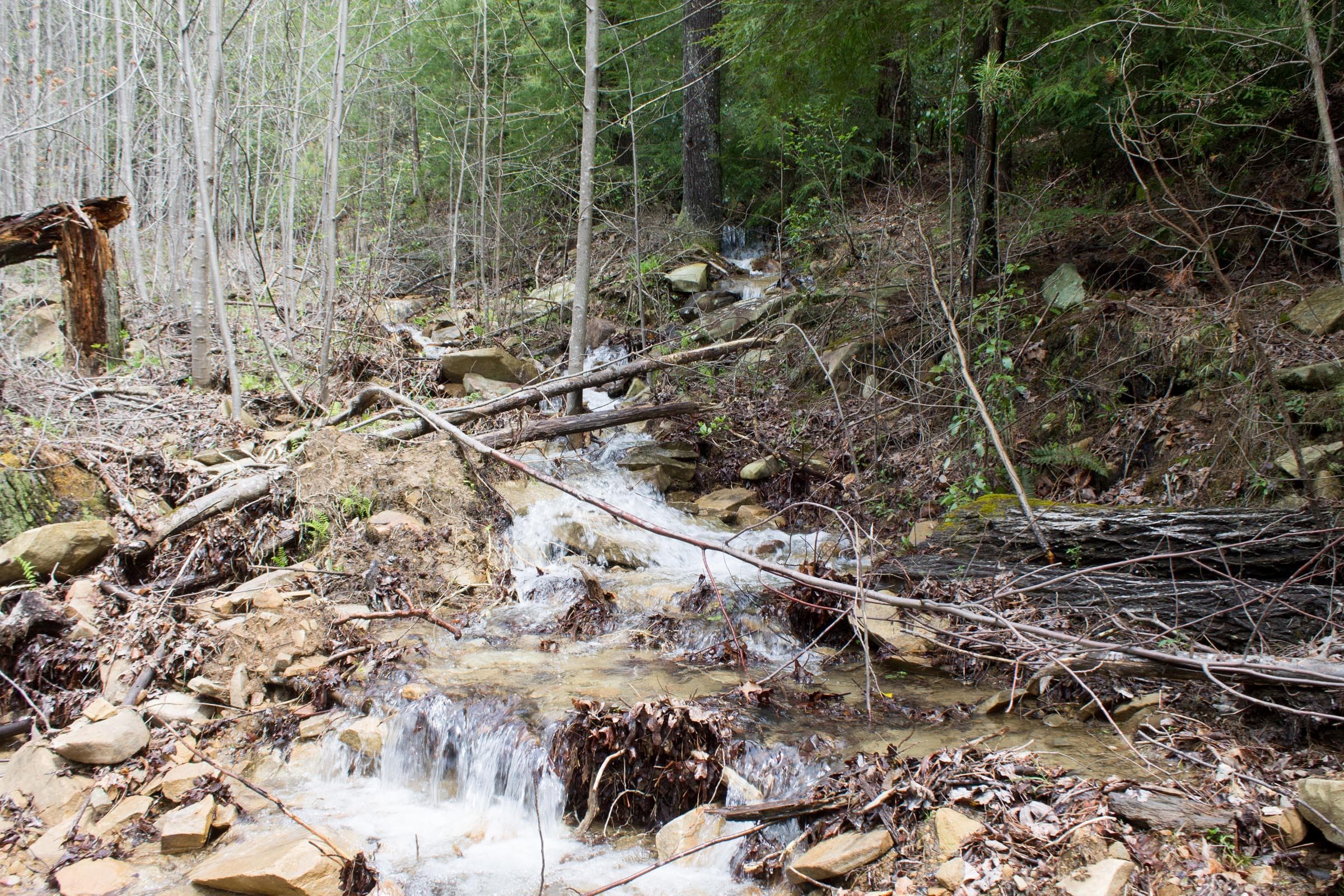 Hidden Hills — Zero Credit Land owner financed land for sale in Sequatchie County, Tennessee photo 12