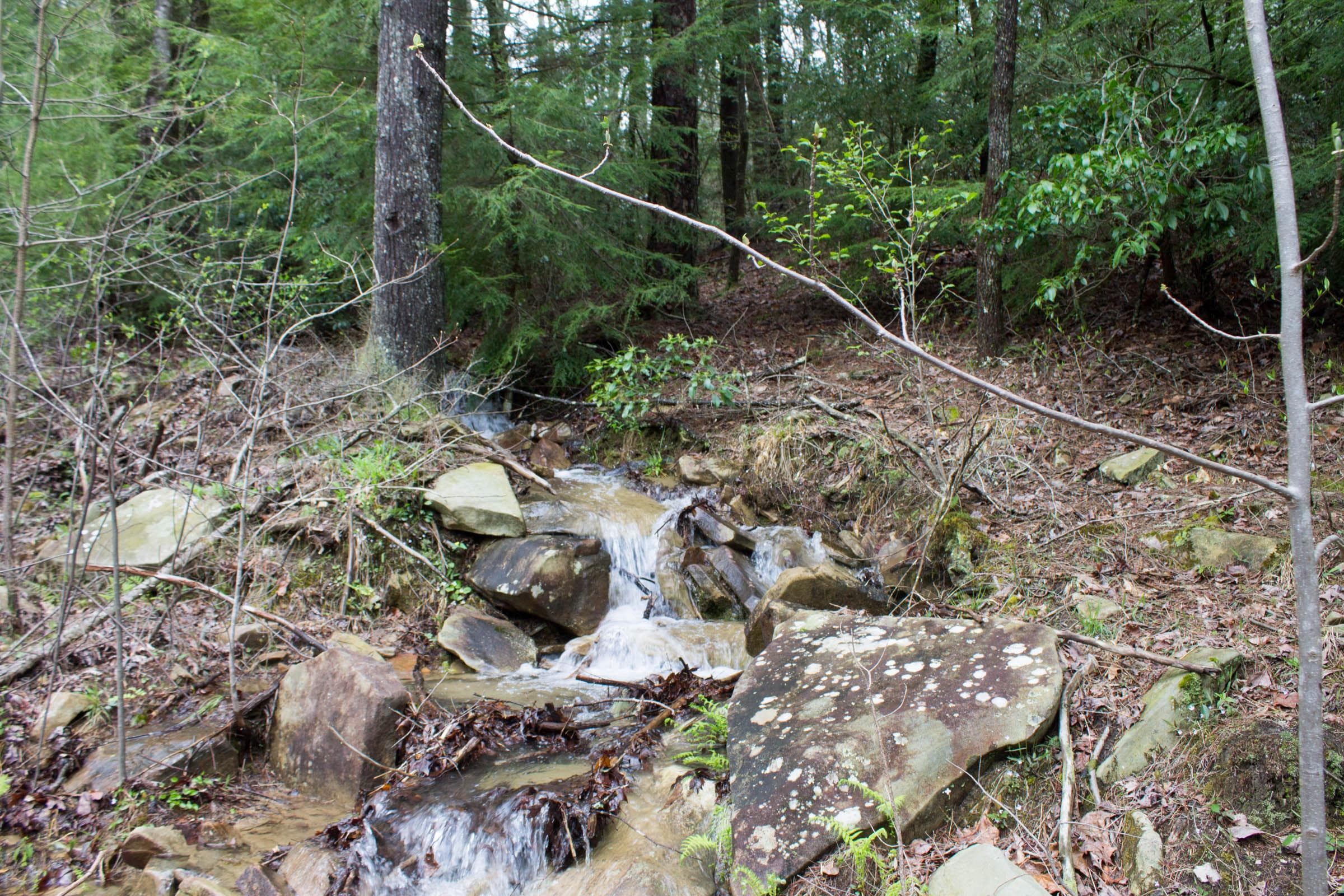 Hidden Hills — Zero Credit Land owner financed land for sale in Sequatchie County, Tennessee photo 14