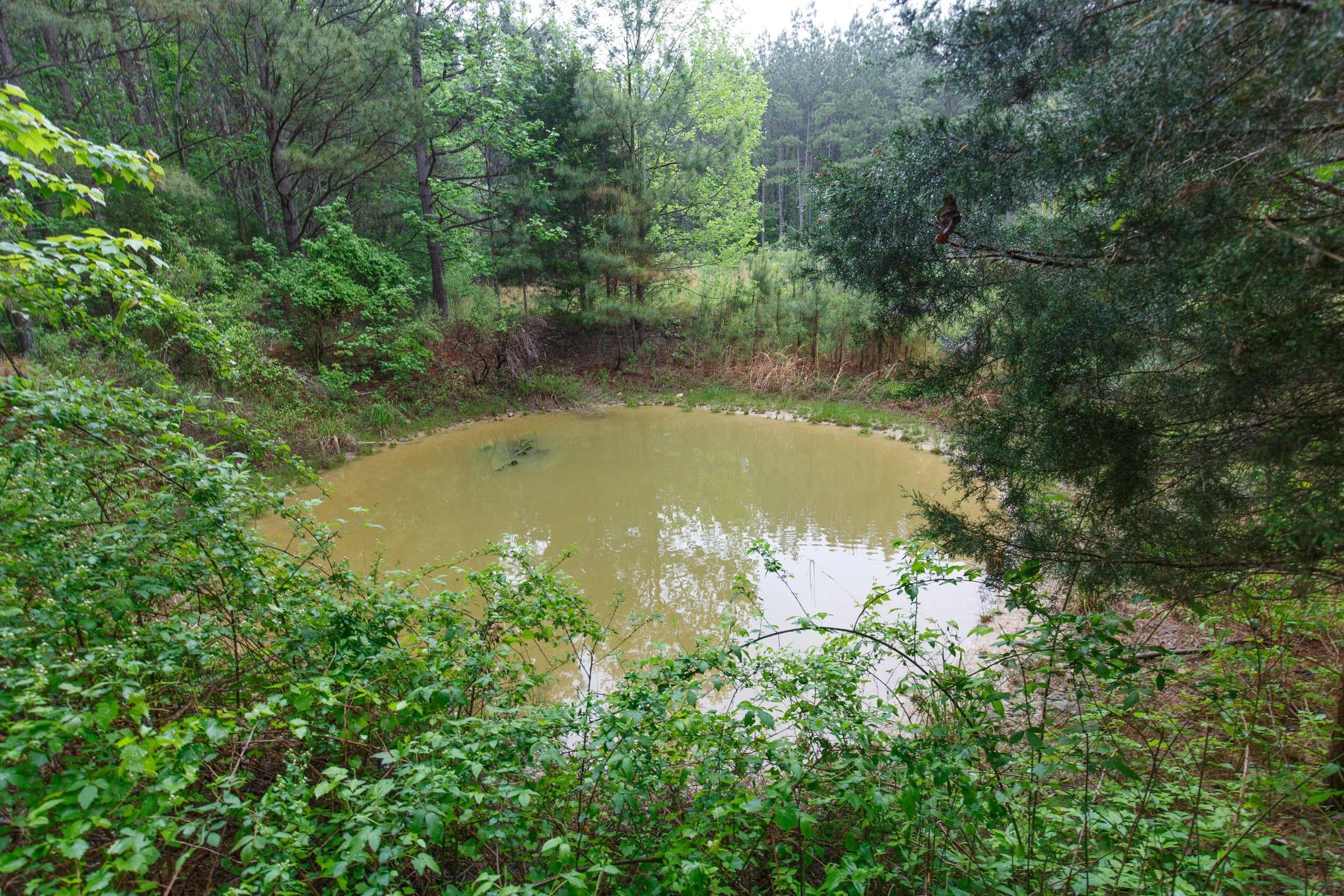 Red Barn Ranch — Zero Credit Land owner financed land for sale in Benton County, Tennessee photo 8