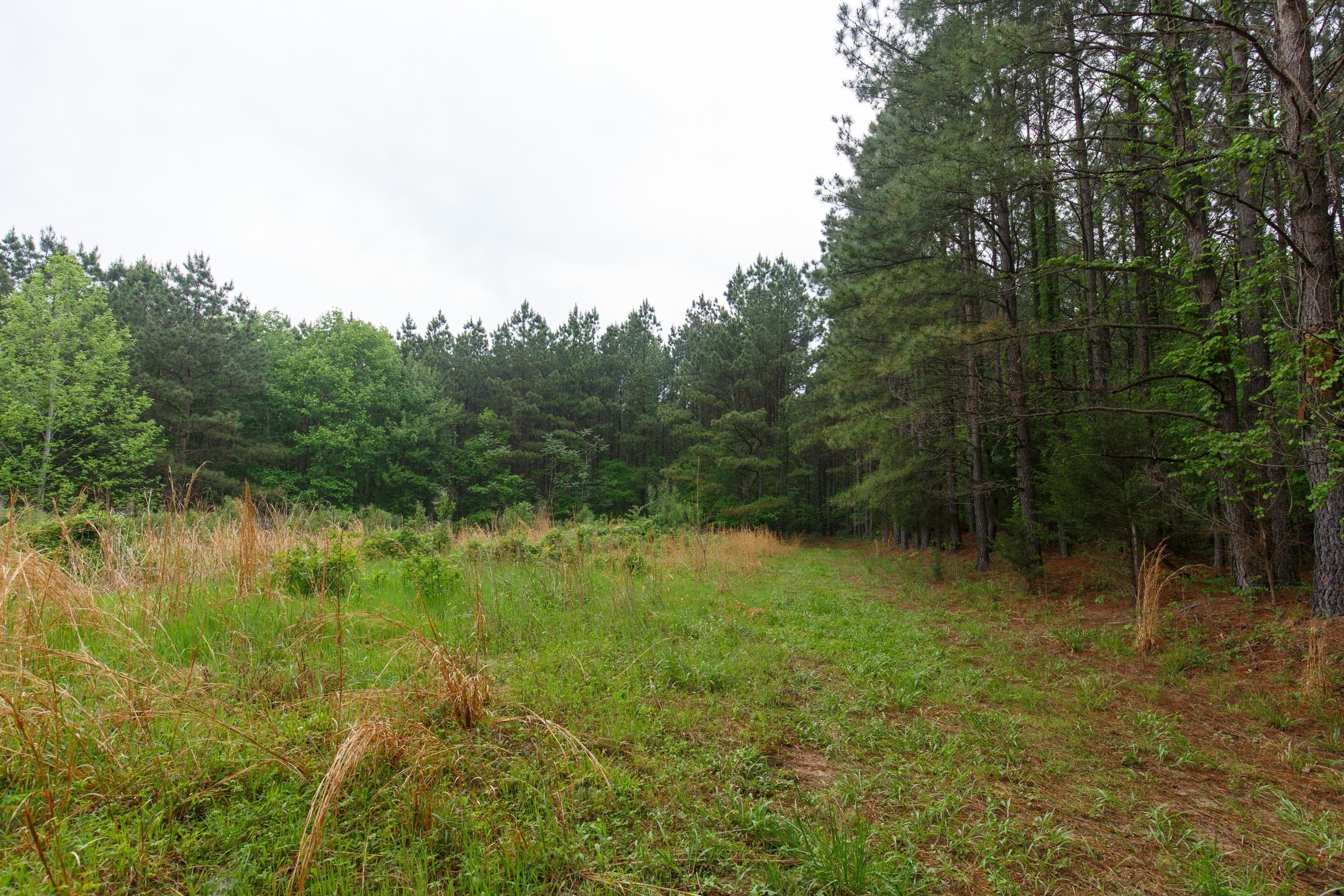 Red Barn Ranch — Zero Credit Land owner financed land for sale in Benton County, Tennessee photo 4