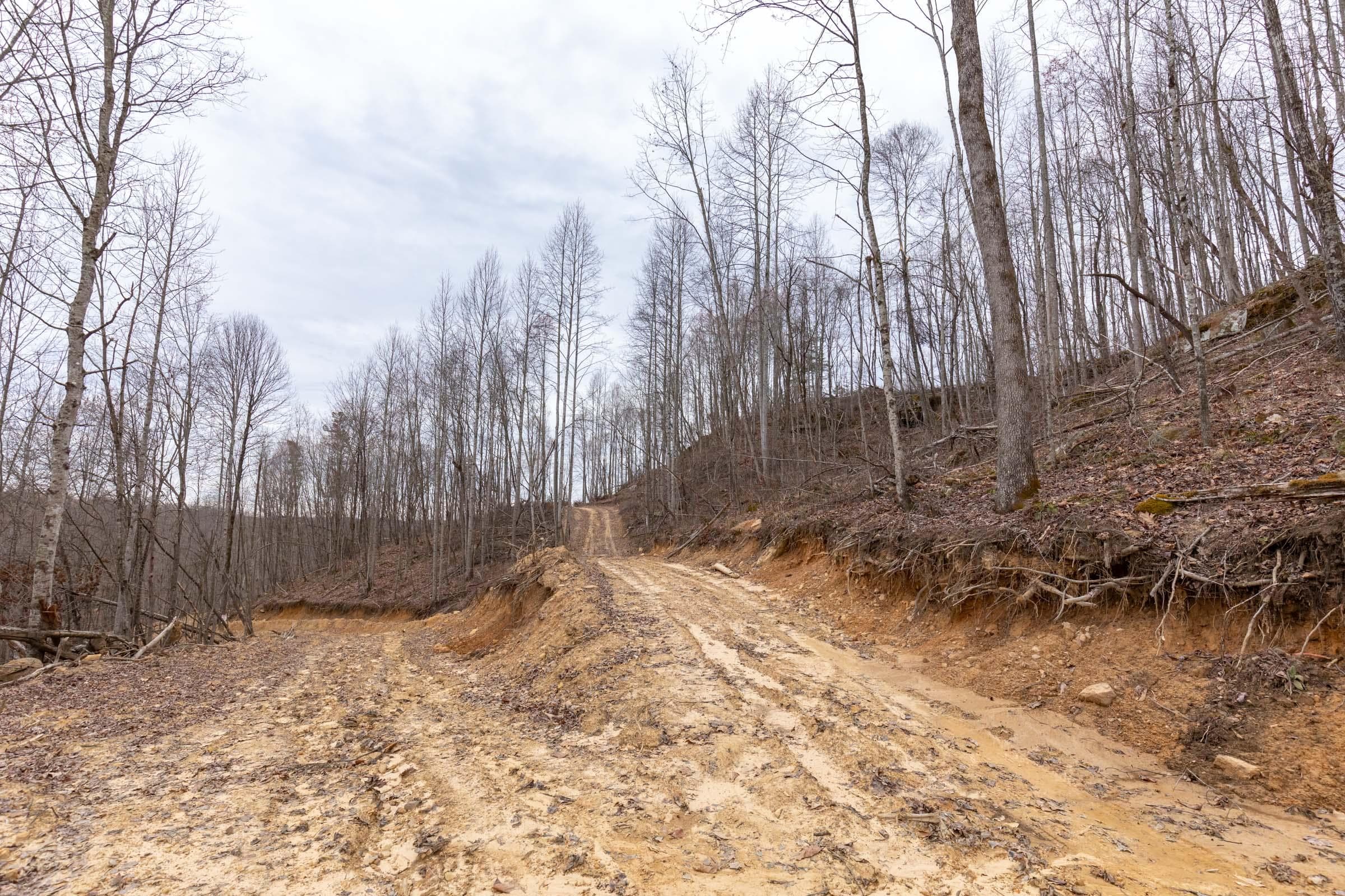 Creek Hollow Phase 1 — Zero Credit Land owner financed land for sale in Rockcastle County, Kentucky photo 9