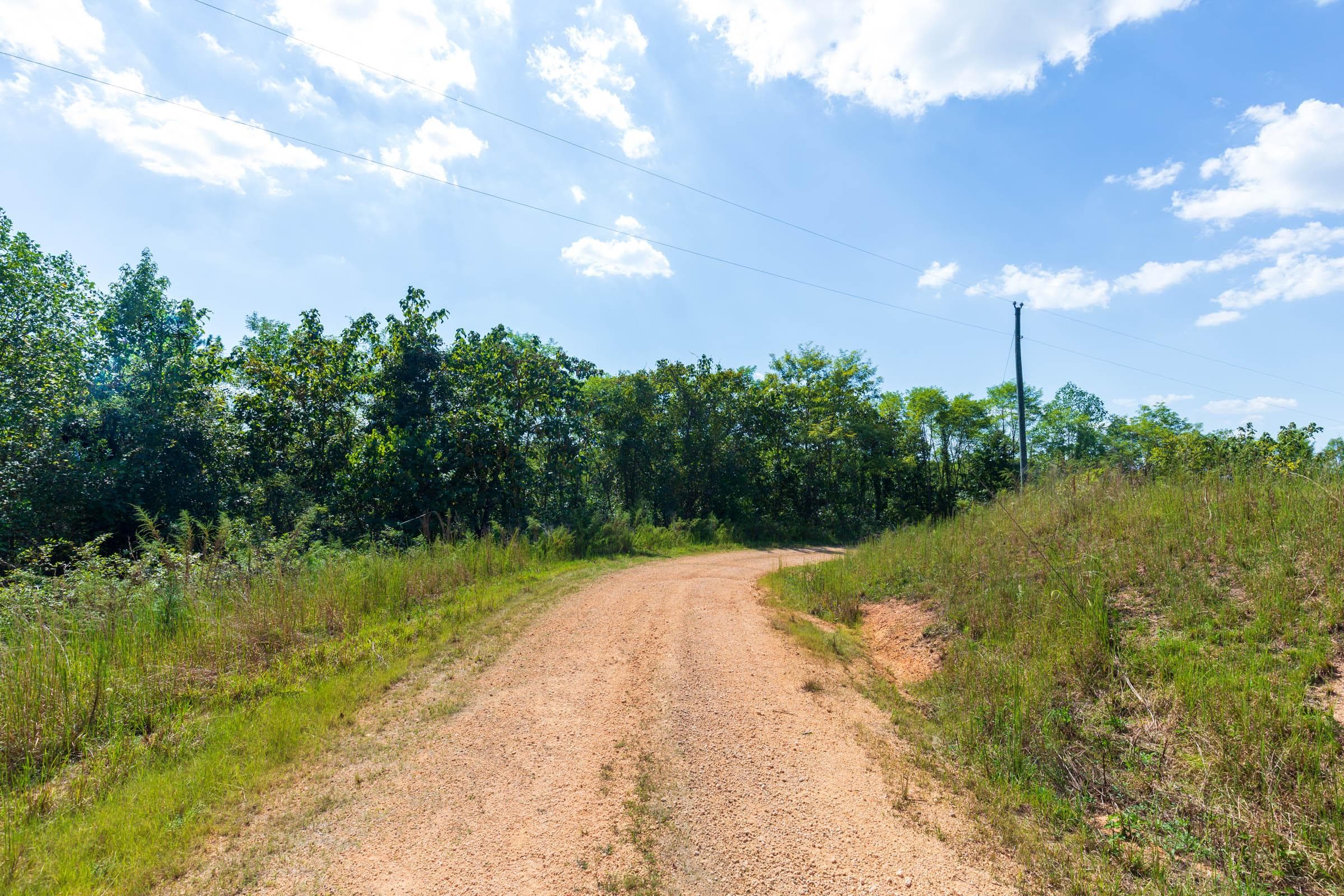 Wayne County, tennessee land — photo 7