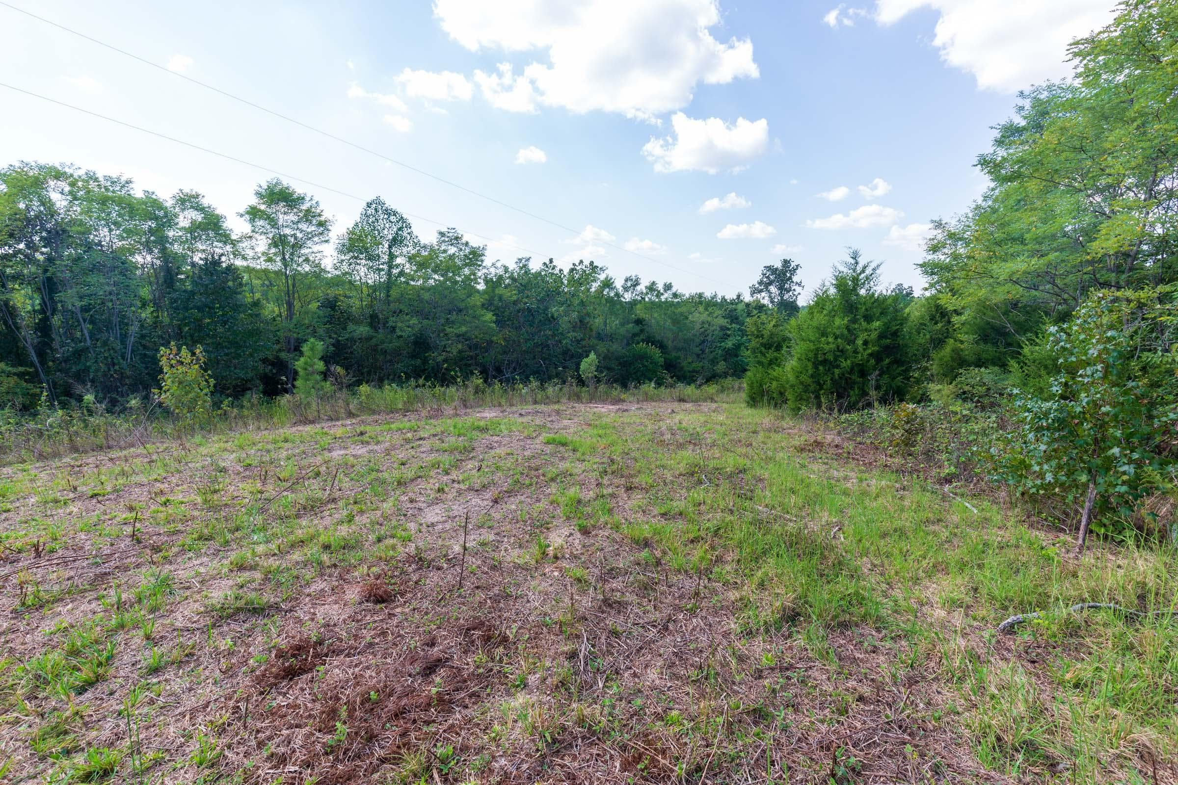 Wayne County, tennessee land — photo 6