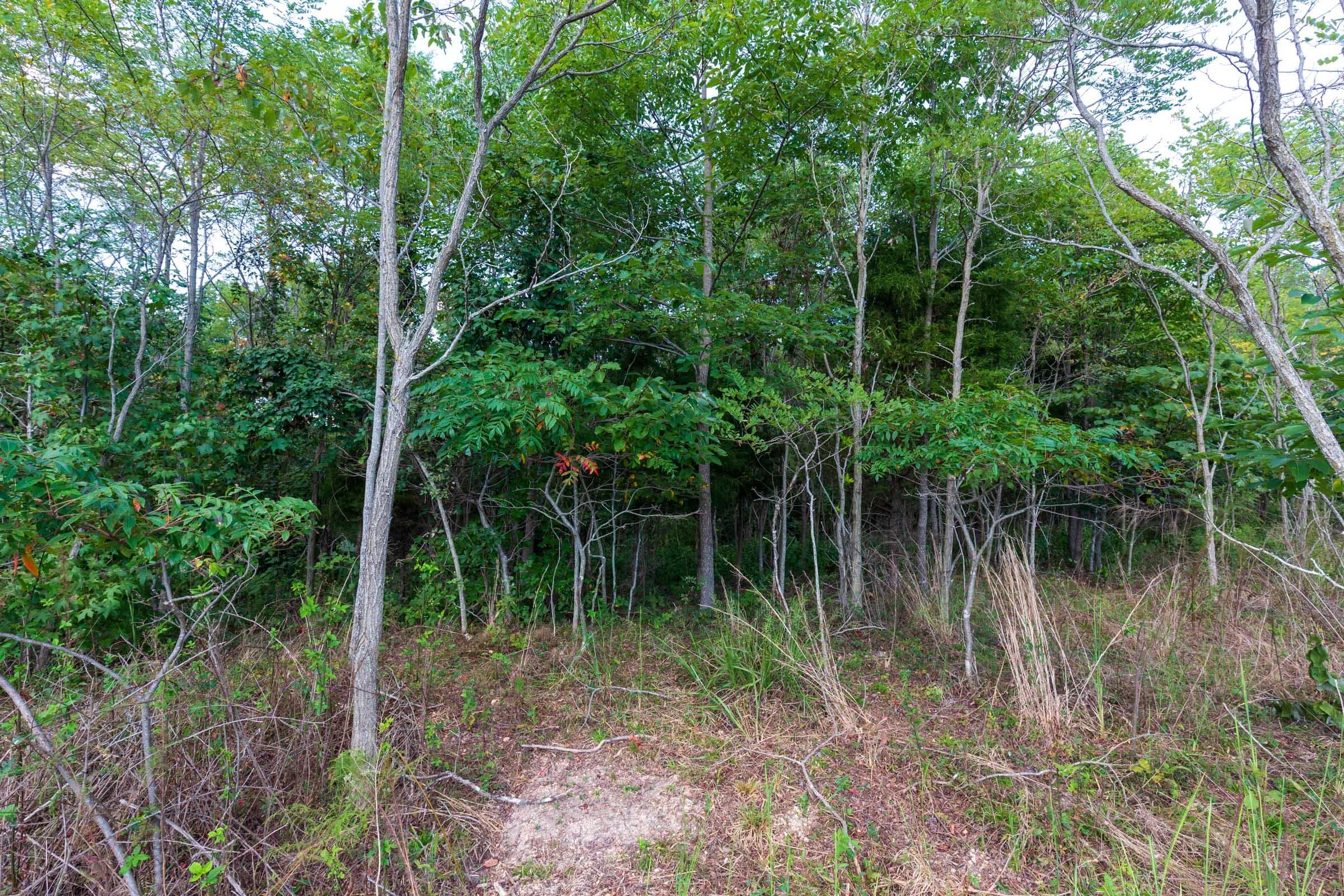 Redemption Ridge — Zero Credit Land owner financed land for sale in Wayne County, Tennessee photo 9