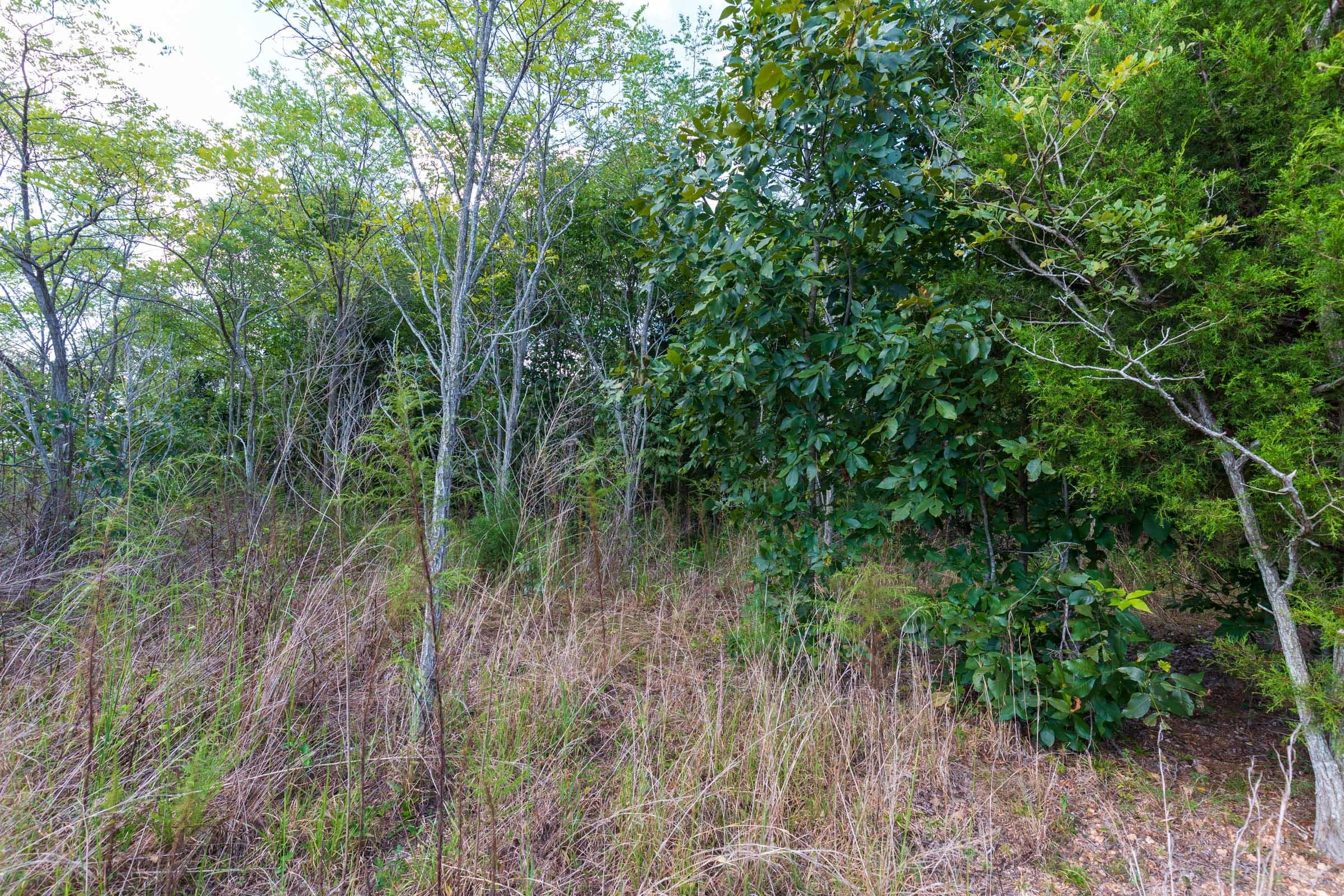 Redemption Ridge — Zero Credit Land owner financed land for sale in Wayne County, Tennessee photo 12