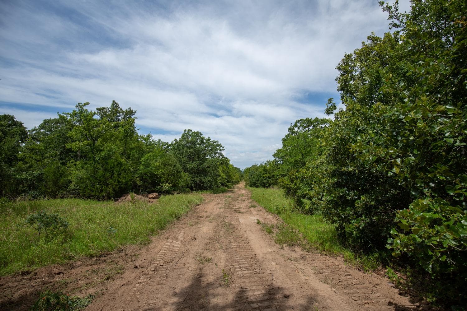 Timber Ridge — Zero Credit Land owner financed land for sale in McIntosh County, Oklahoma photo 14