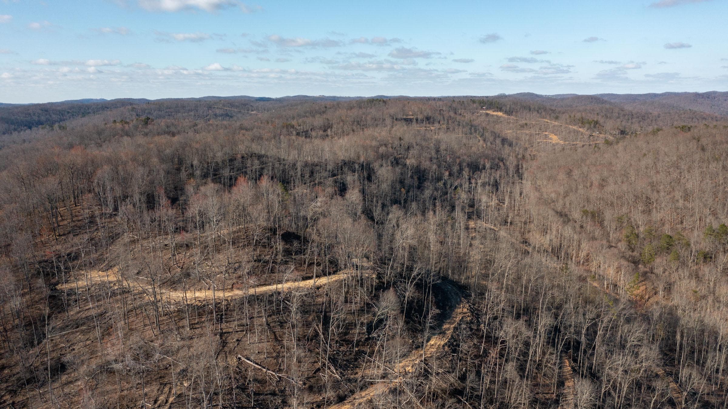 Creek Hollow Phase 1 — Zero Credit Land owner financed land for sale in Rockcastle County, Kentucky photo 35