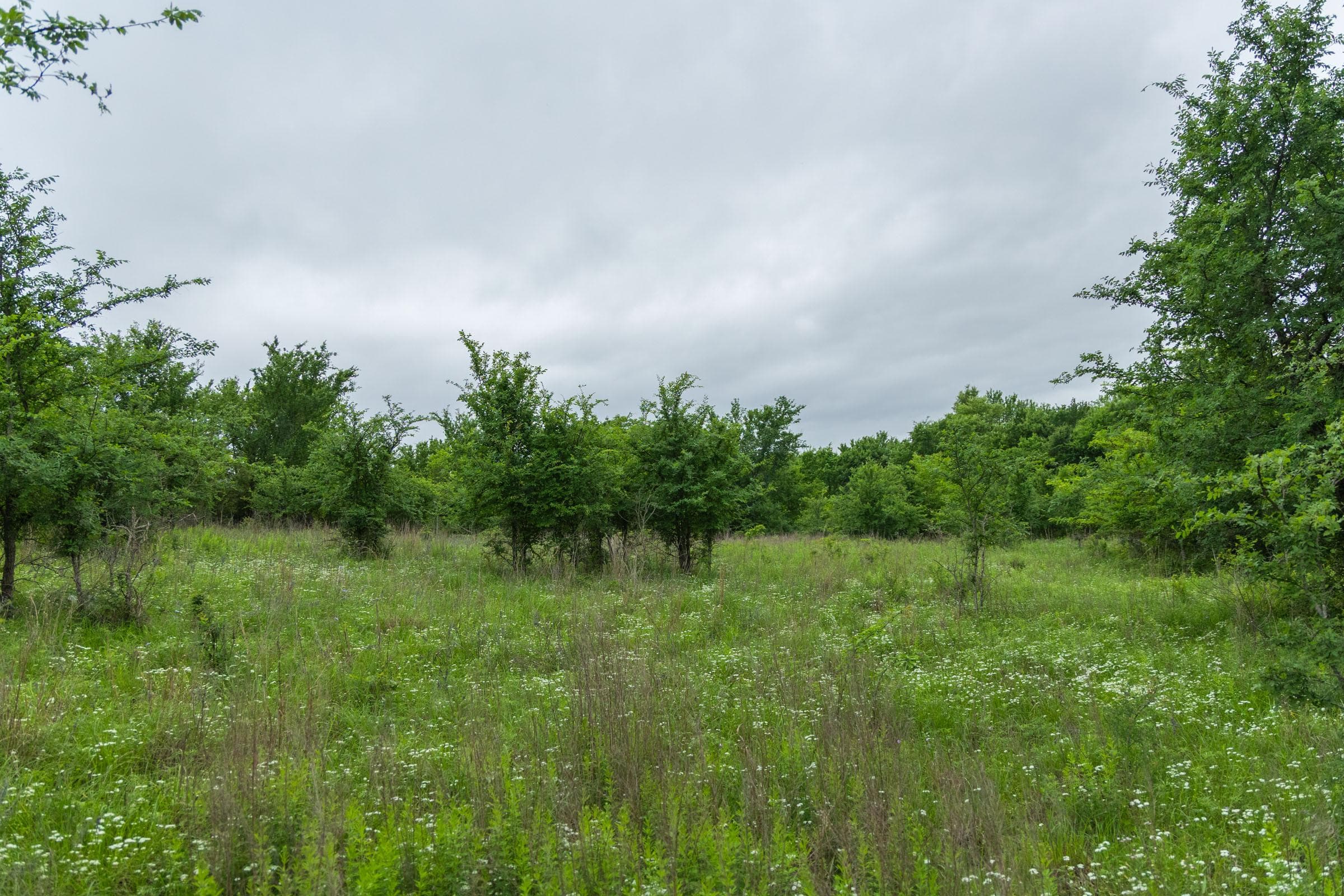Harmony Hills — Zero Credit Land owner financed land for sale in Pittsburg County, Oklahoma photo 180