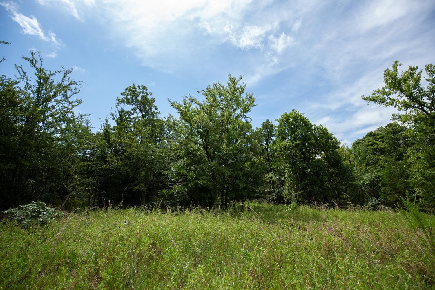 Timber Ridge — Zero Credit Land owner financed land for sale in McIntosh County, Oklahoma photo 15
