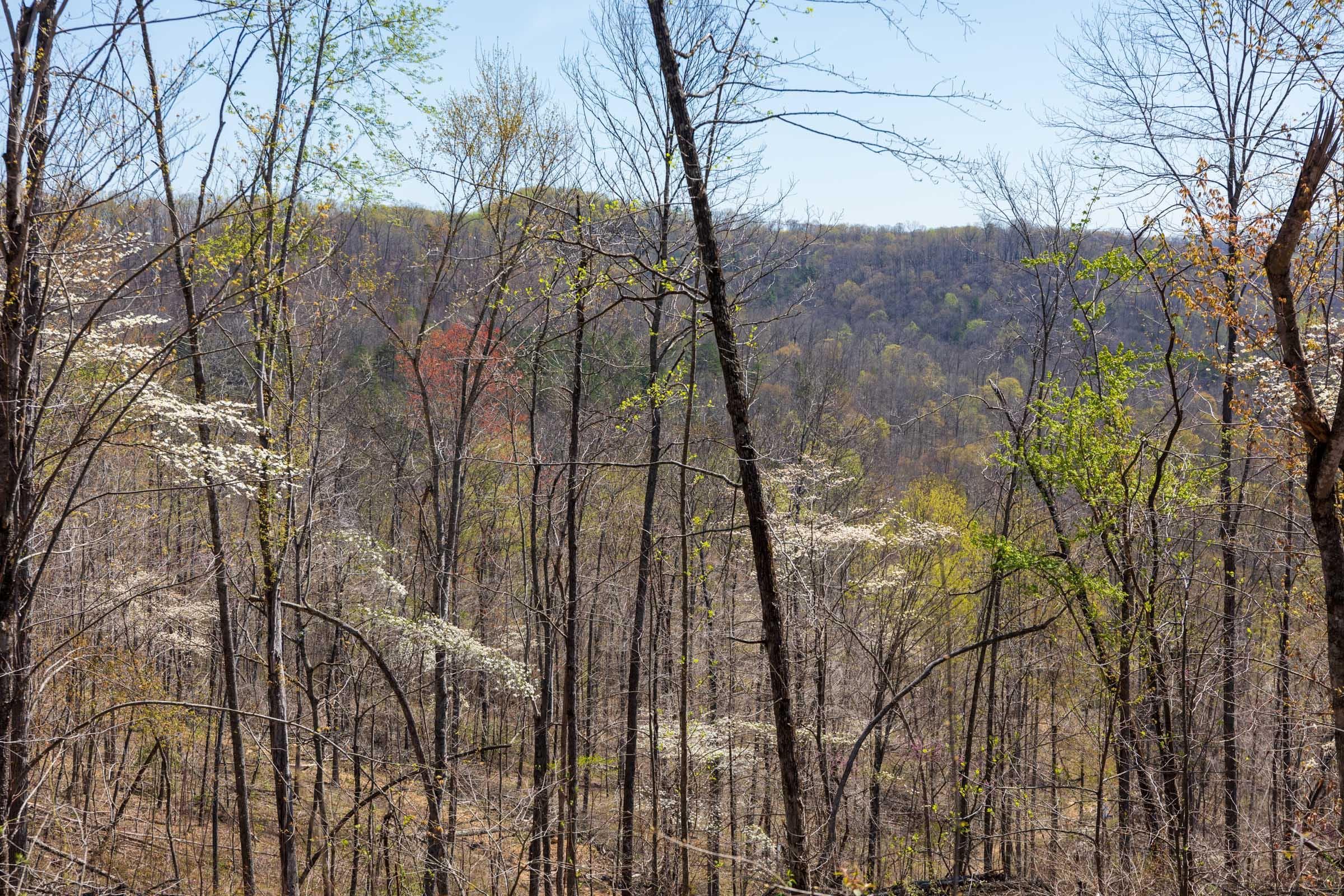Creek Hollow Phase 1 — Zero Credit Land owner financed land for sale in Rockcastle County, Kentucky photo 55