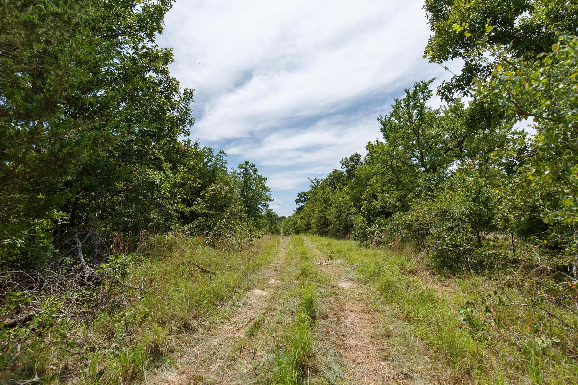 Timber Ridge — Zero Credit Land owner financed land for sale in McIntosh County, Oklahoma photo 2