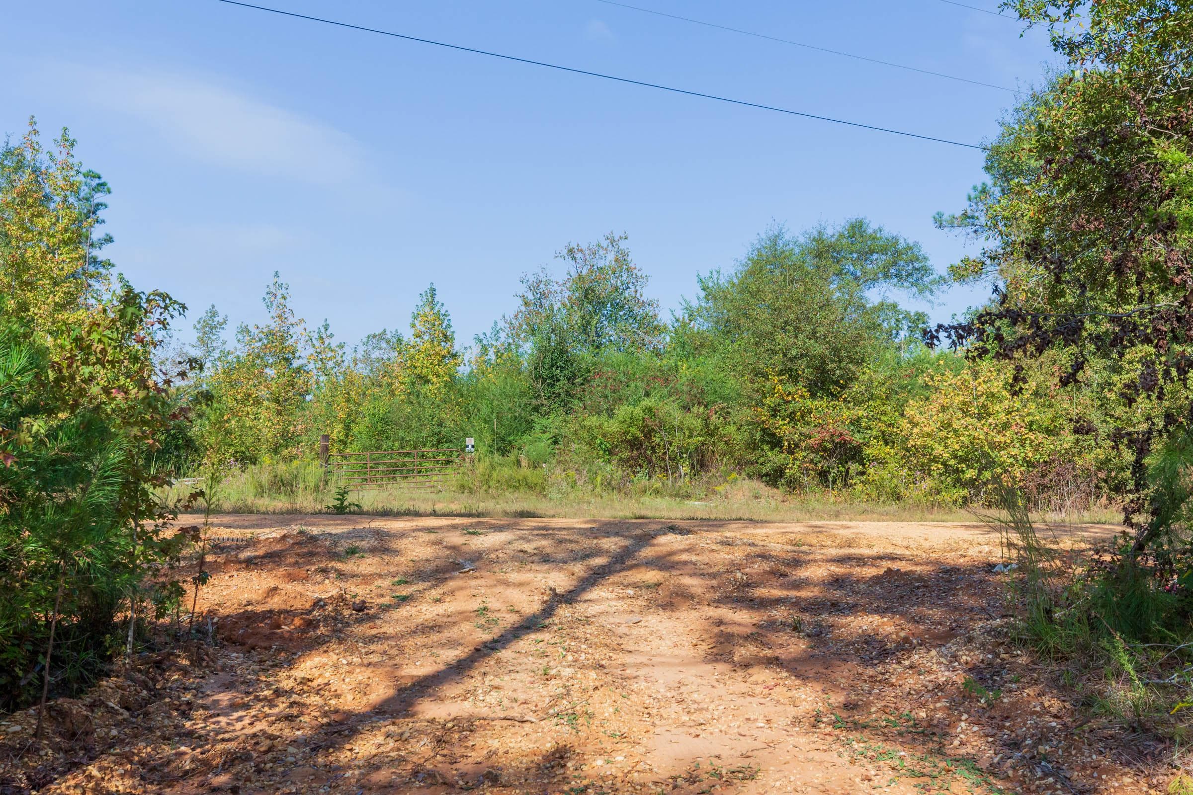 Willow Grove — Zero Credit Land owner financed land for sale in Lamar County, Alabama photo 33